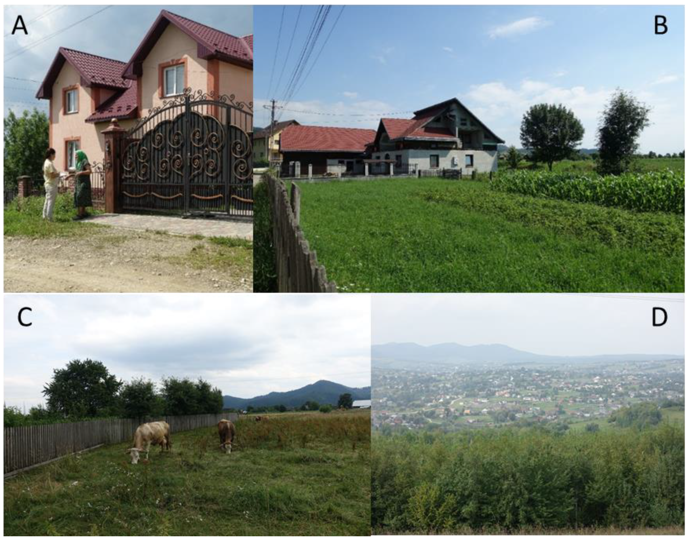 Foods 10 00126 g002 Foods 10 00126 g002