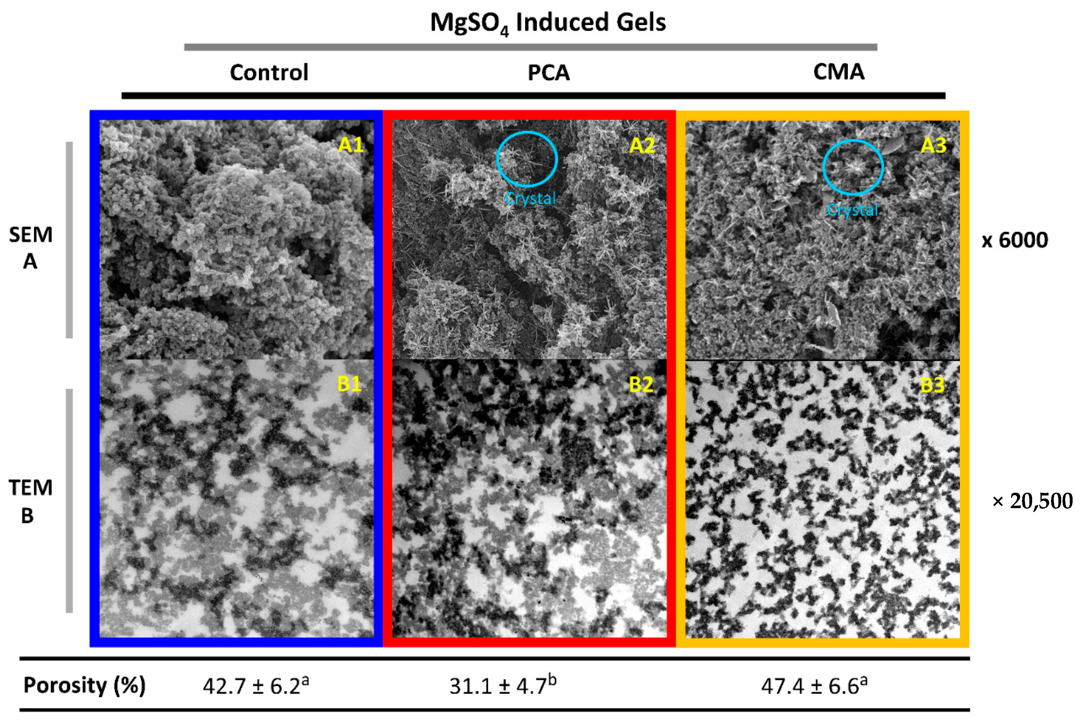 Foods 10 00154 g003 Foods 10 00154 g003