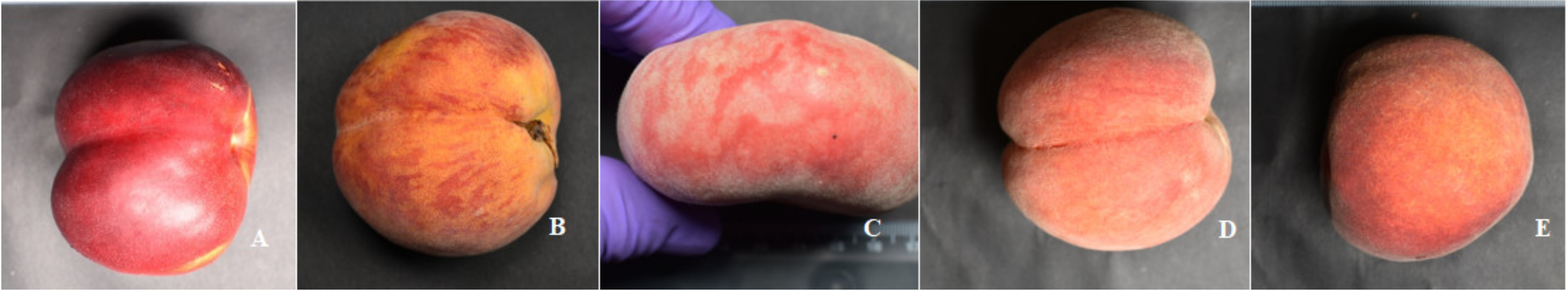 Foods 10 00164 g001 Foods 10 00164 g001