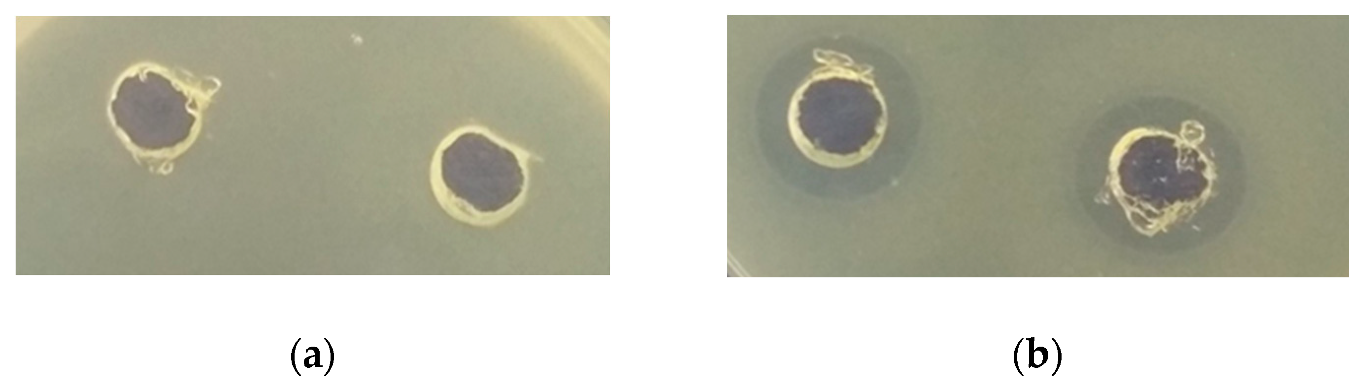 Foods 10 00171 g001 Foods 10 00171 g001