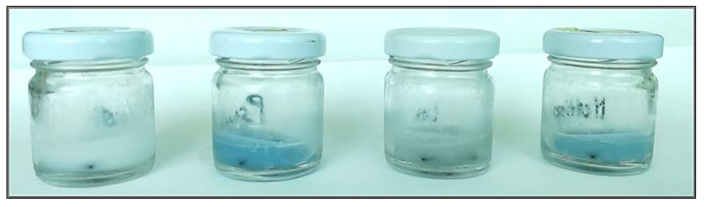 Foods 10 00176 g003 Foods 10 00176 g003