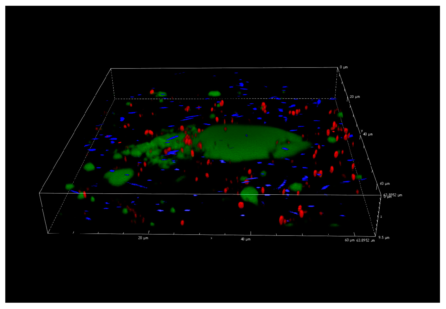 Foods 10 00176 g005 Foods 10 00176 g005