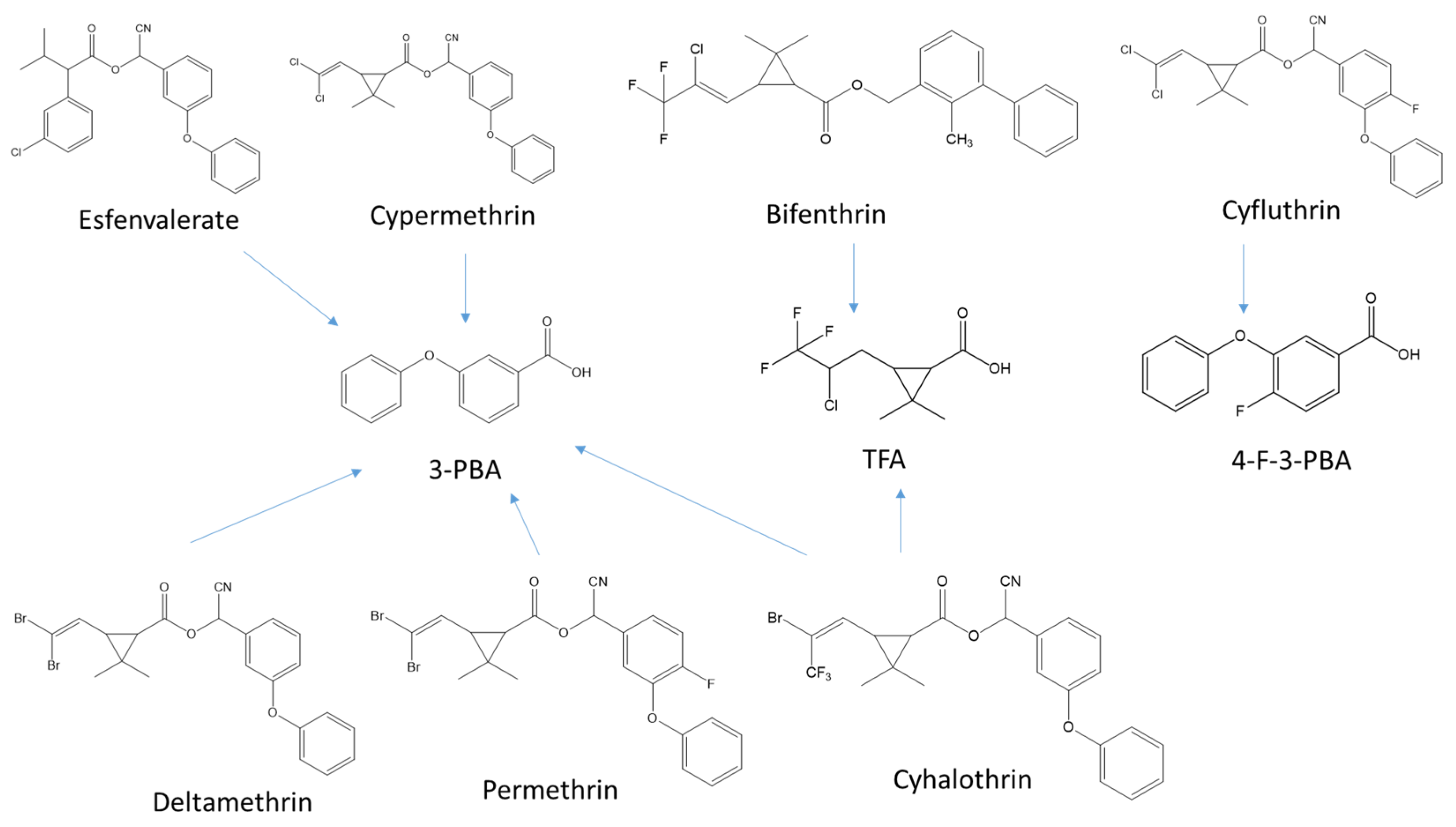 Foods 10 00189 g001 Foods 10 00189 g001