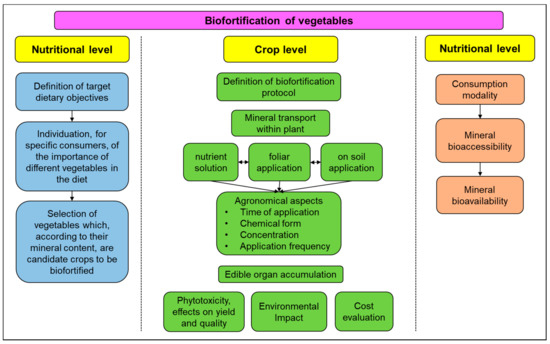 vitamin Supplementation with Bioactive Compounds Improves Health and