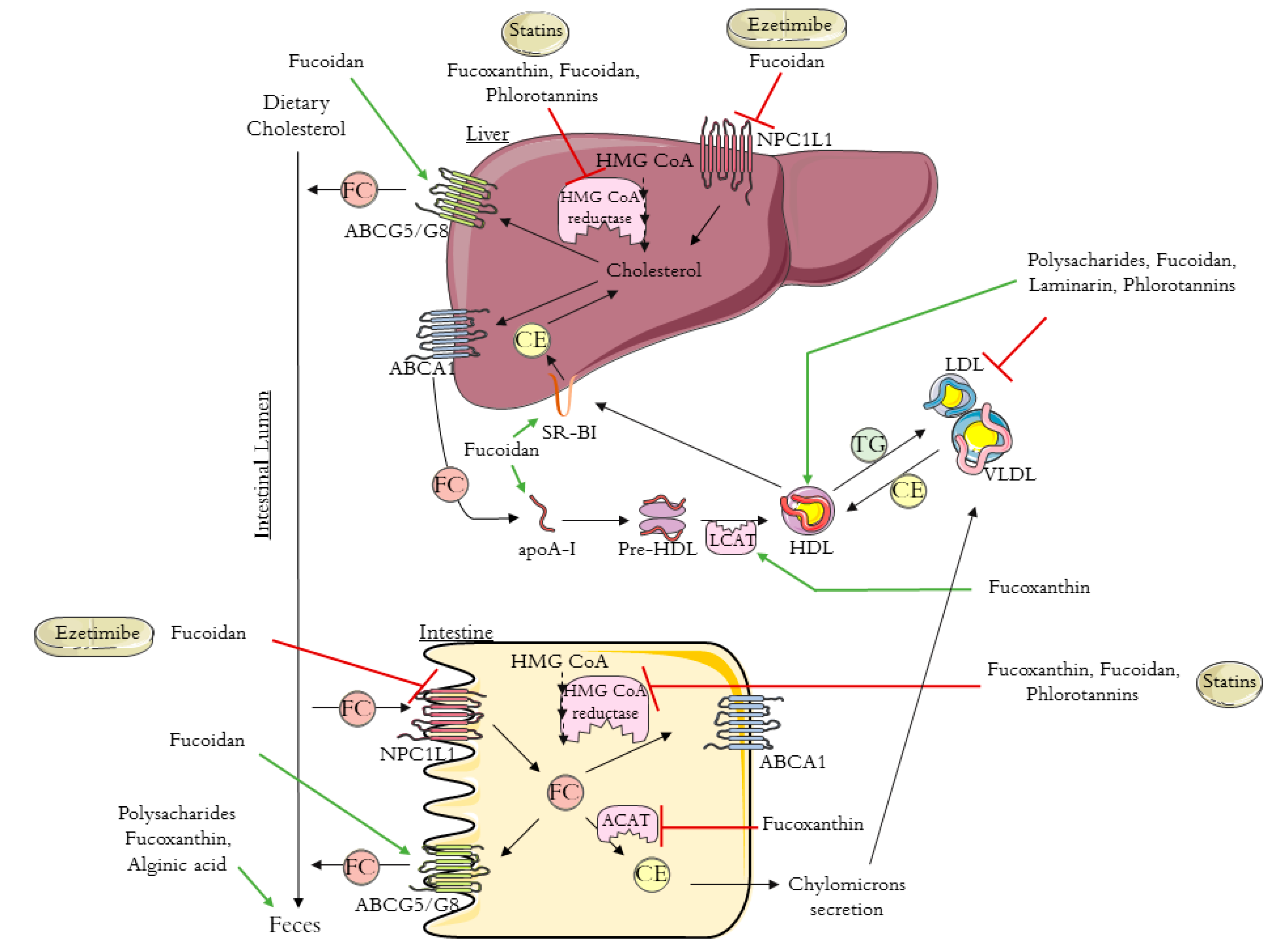 Foods 10 00234 g001 Foods 10 00234 g001