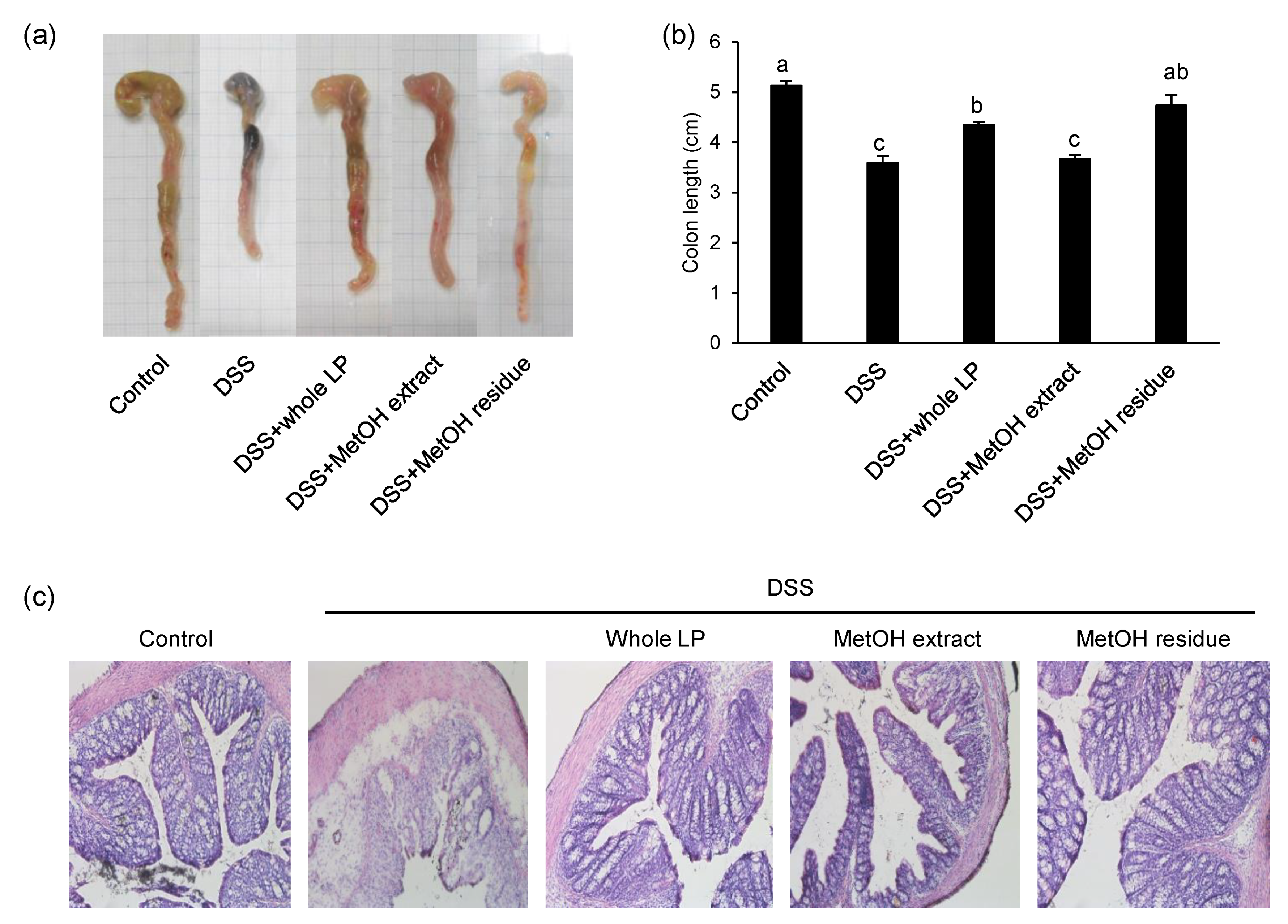 Foods 10 00240 g003 Foods 10 00240 g003
