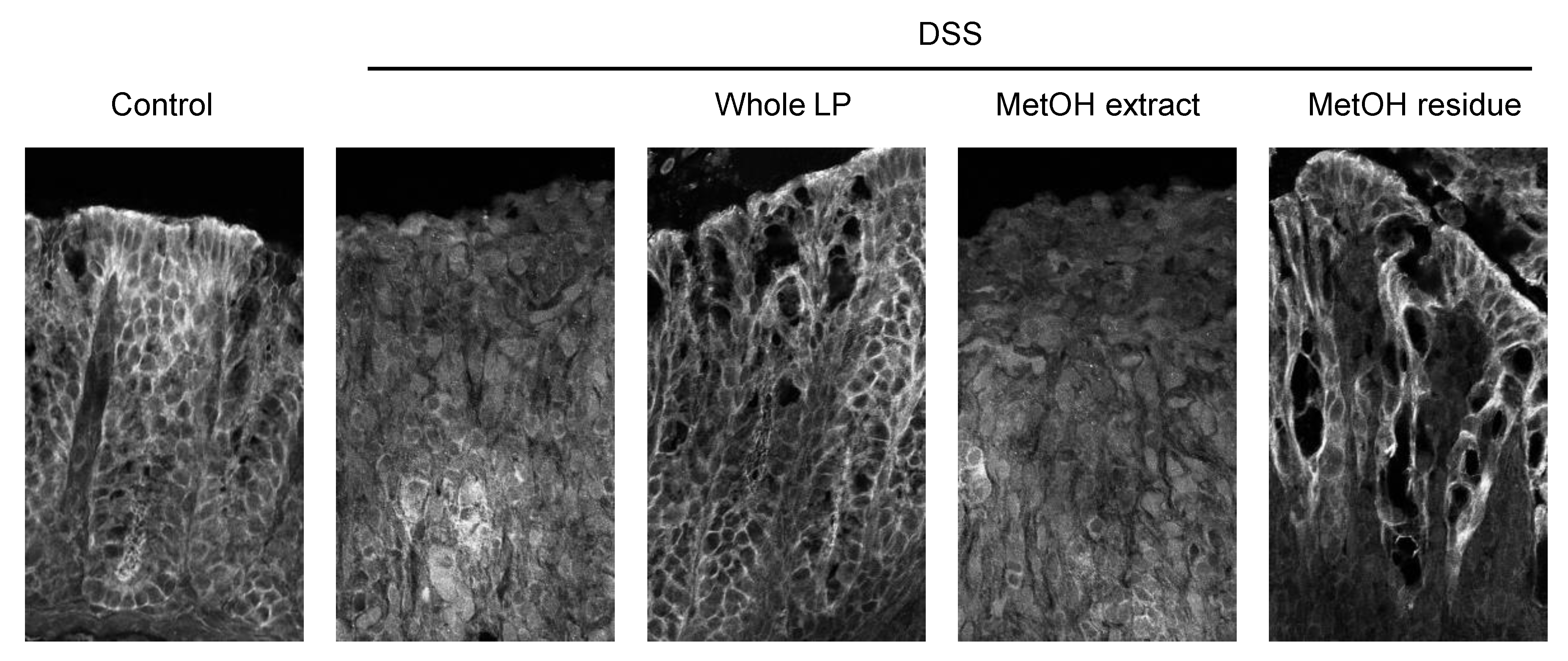 Foods 10 00240 g005 Foods 10 00240 g005