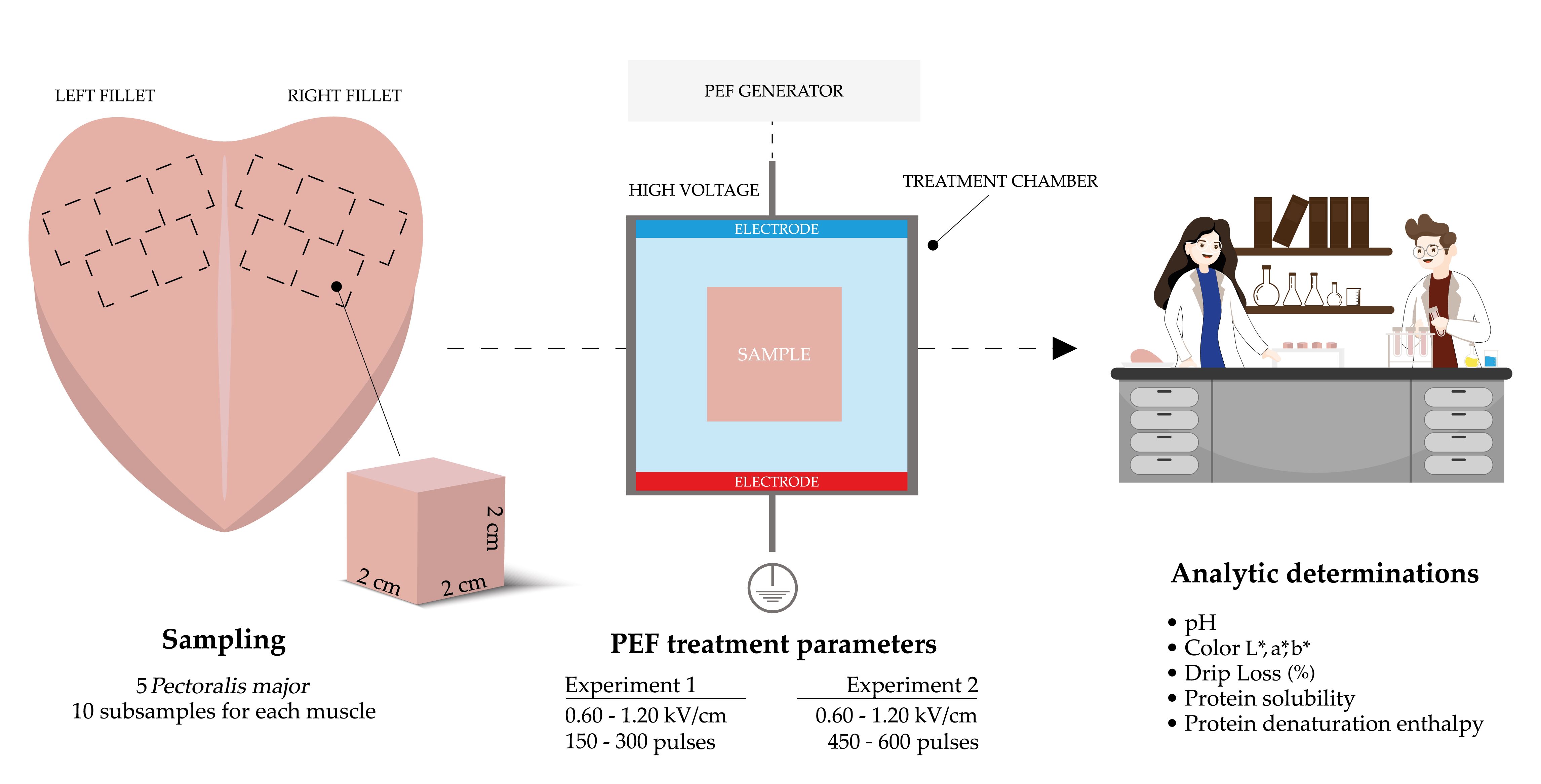 foods free full text exploring the effect of pulsed electric fields on the technological properties of chicken meat html