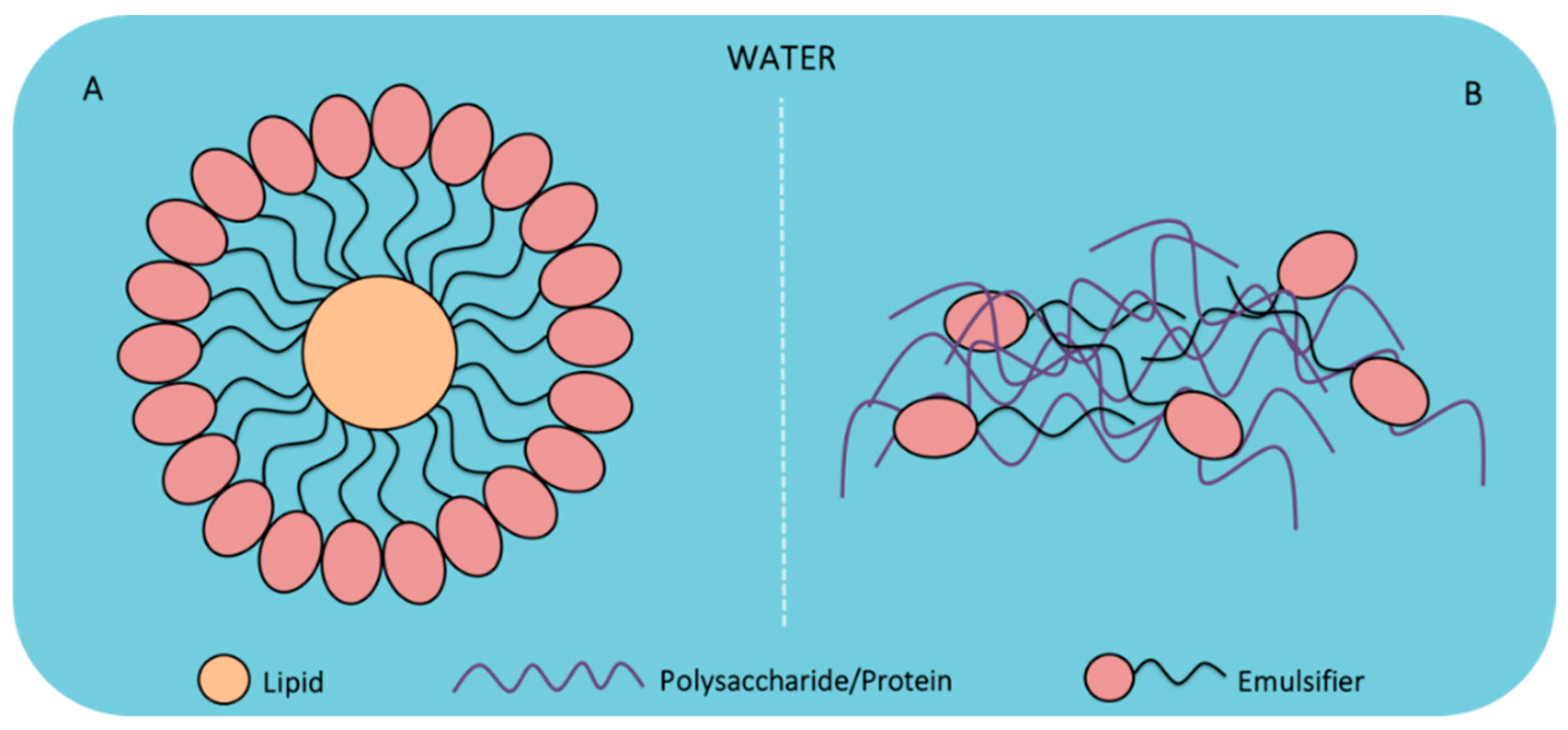 Foods 10 00249 g003 Foods 10 00249 g003