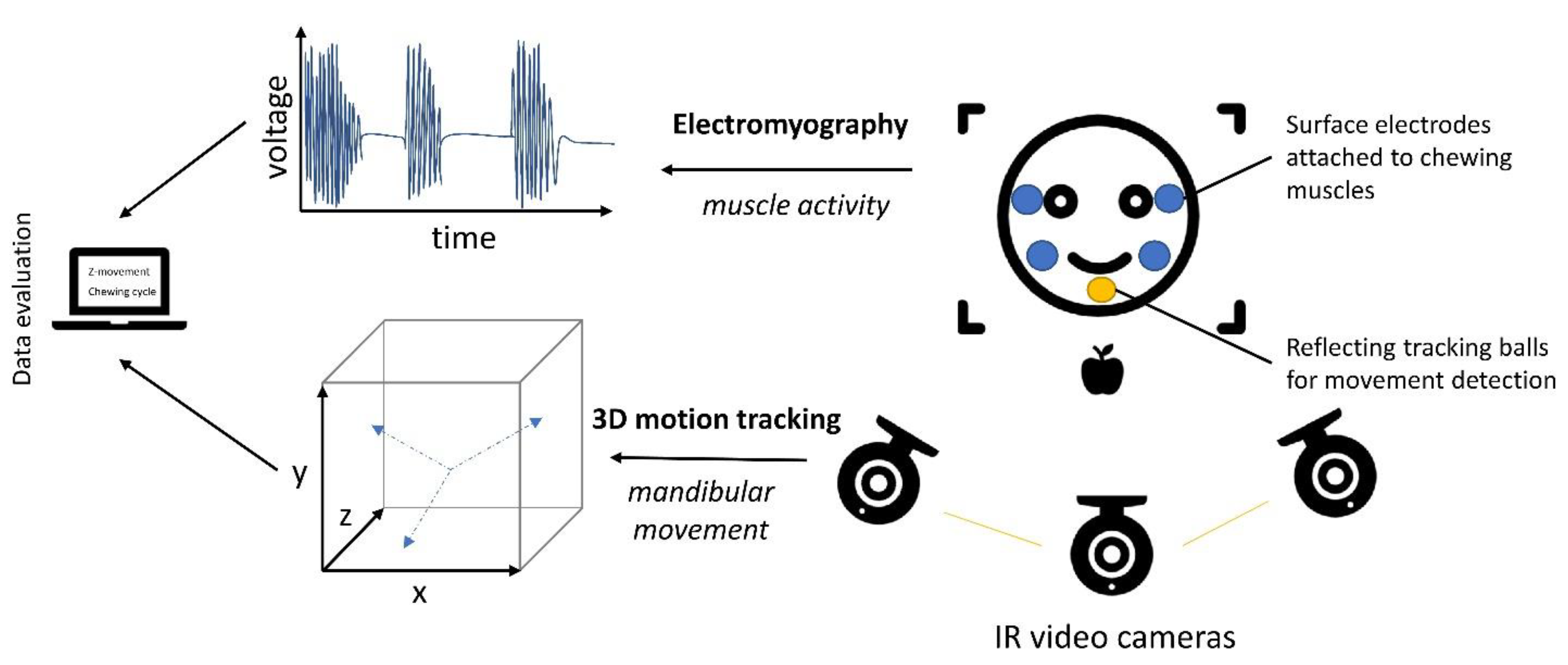 Foods 10 00260 g004 Foods 10 00260 g004