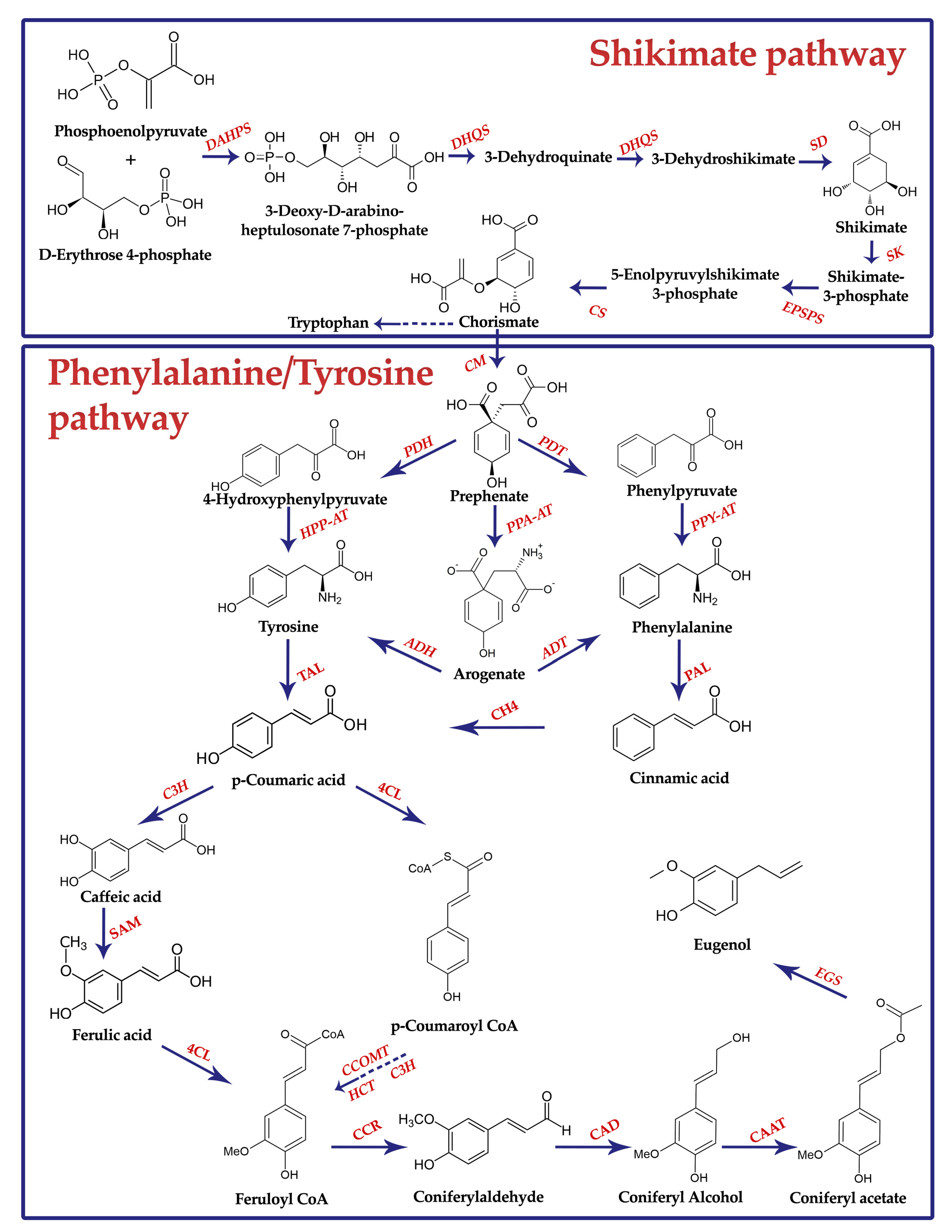Foods 10 00278 g004 Foods 10 00278 g004