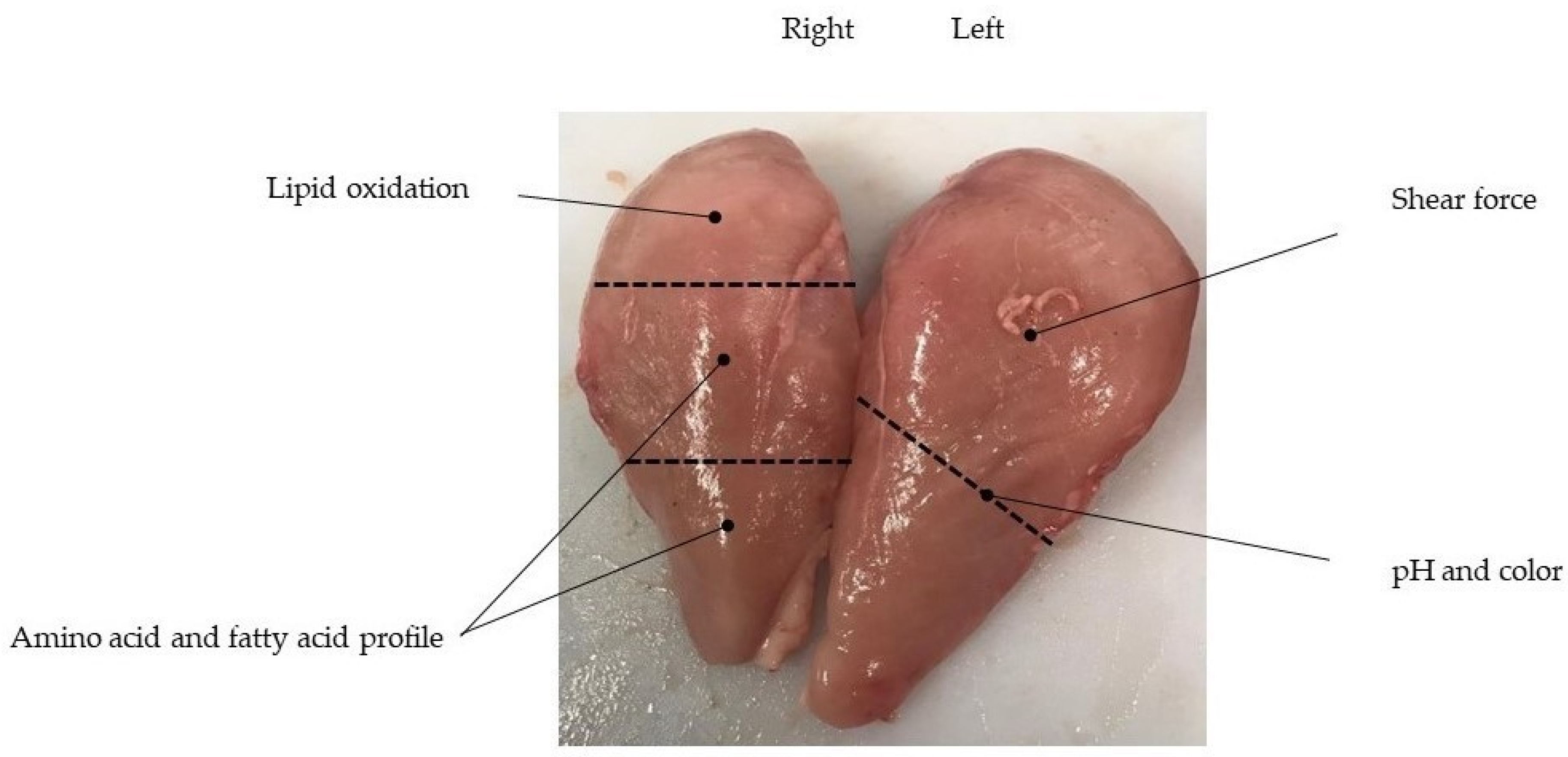 Foods 10 00297 g002 Foods 10 00297 g002