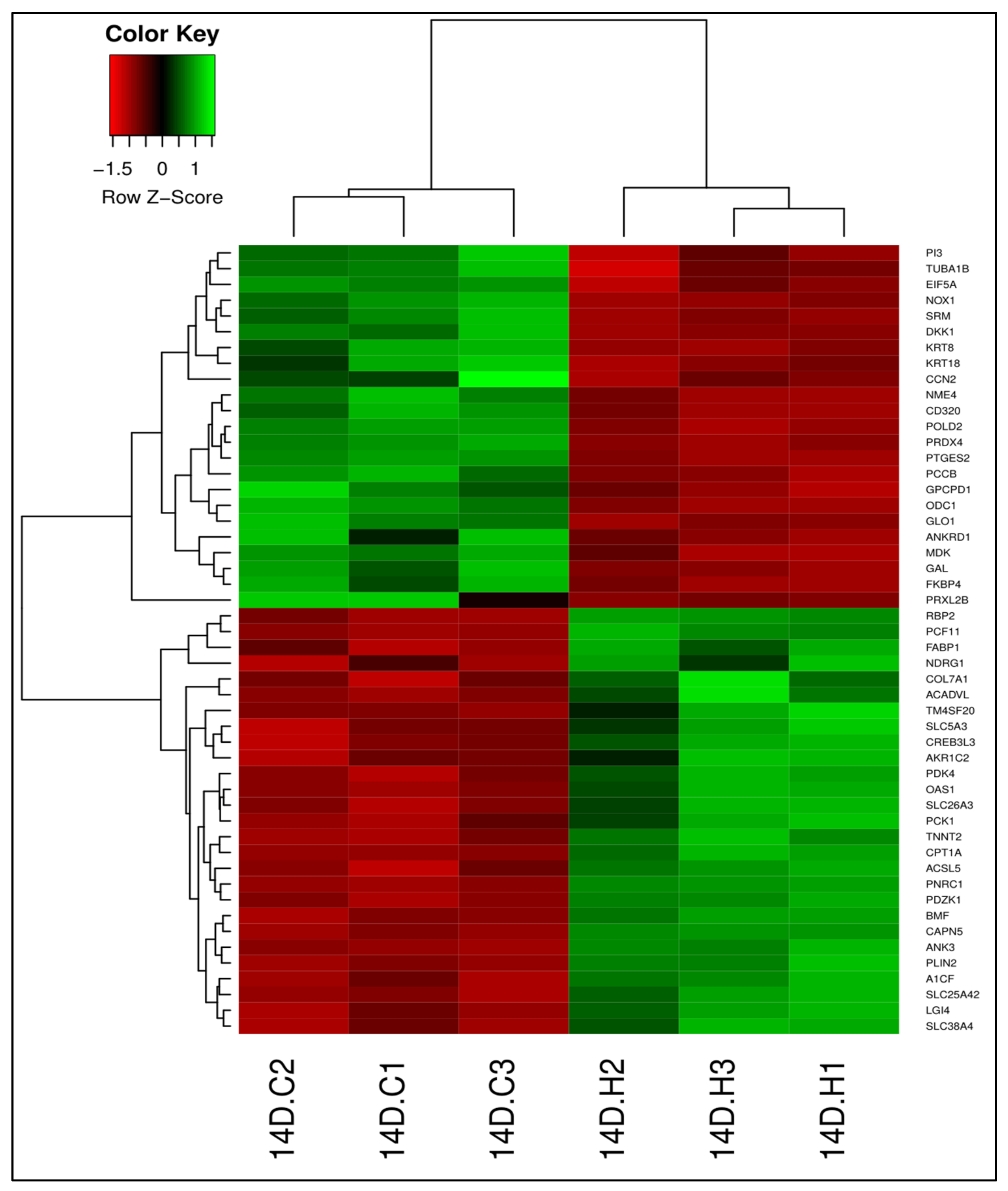 Foods 10 00314 g001 Foods 10 00314 g001