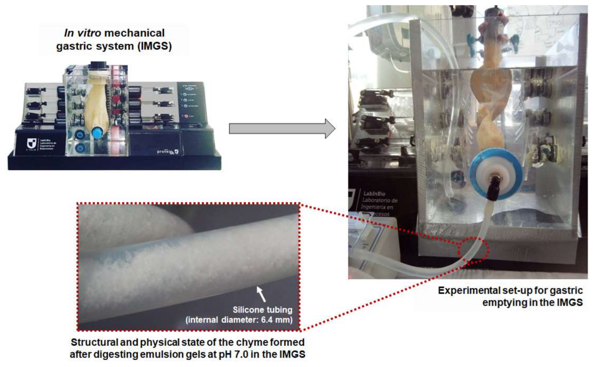 Foods 10 00321 g006 Foods 10 00321 g006