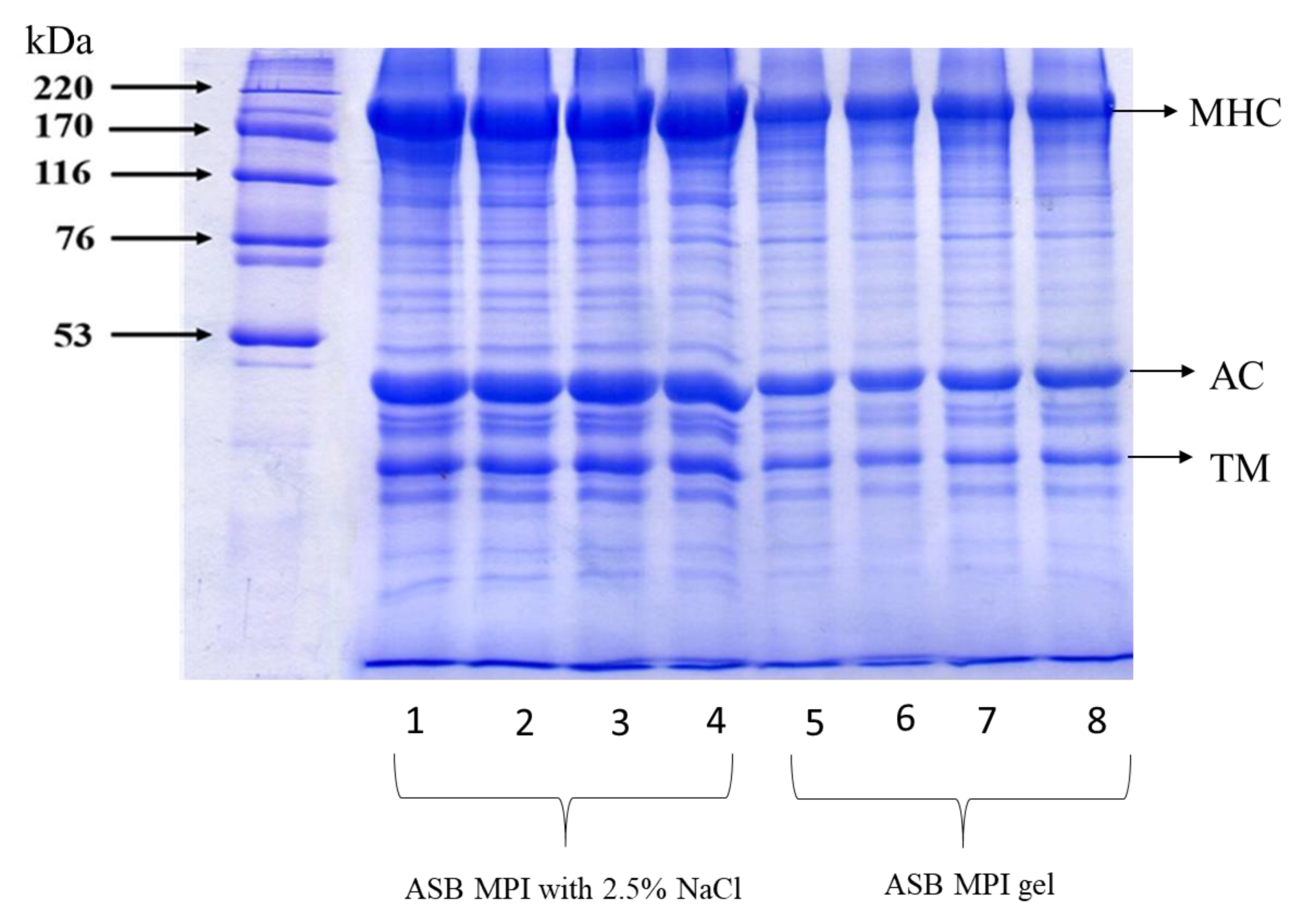 Foods 10 00326 g003 Foods 10 00326 g003