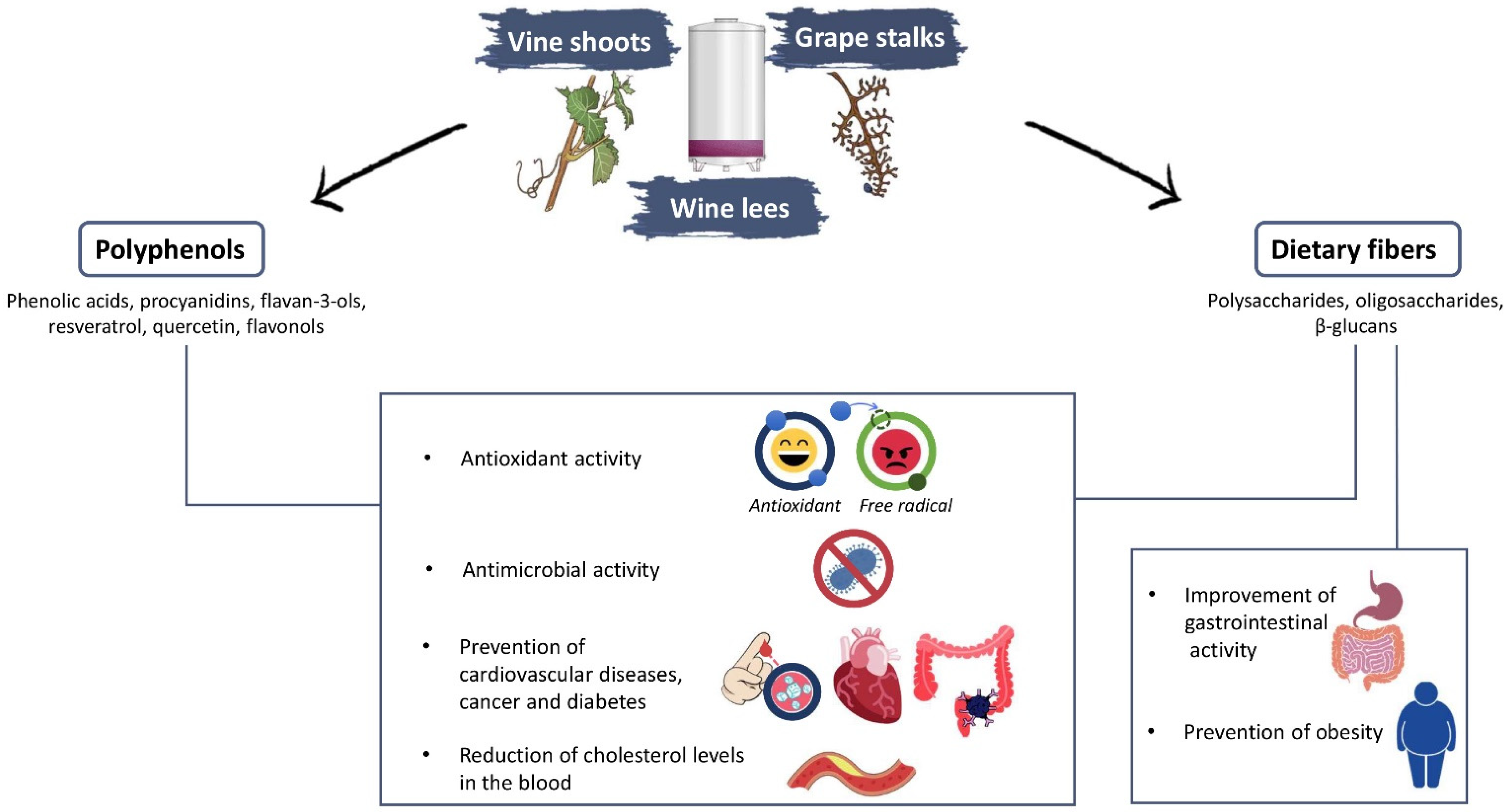 Foods 10 00342 g001 Foods 10 00342 g001