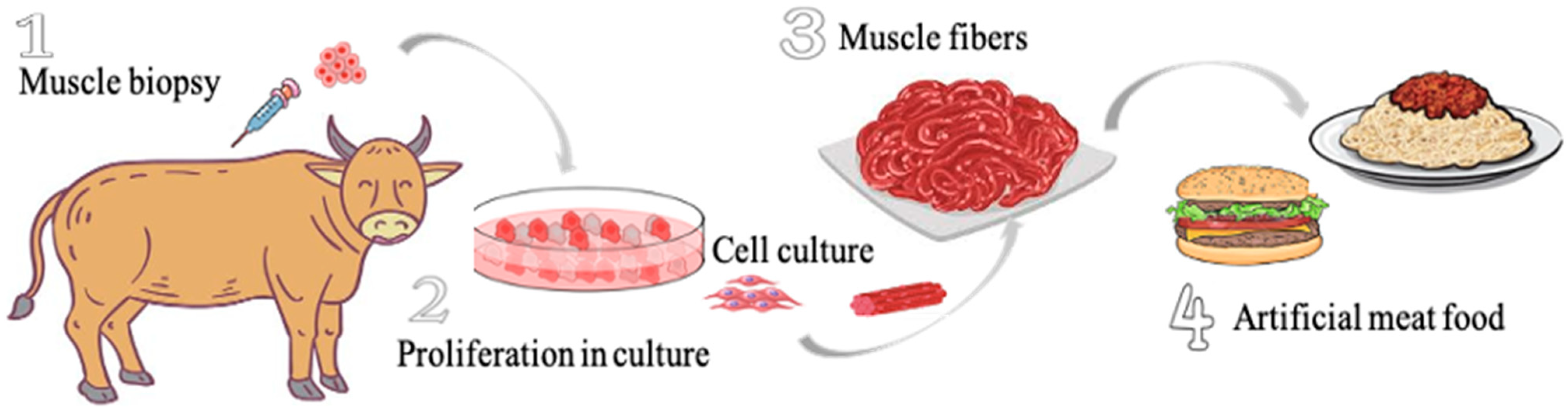 Cultured Meat is Vegan – confusion