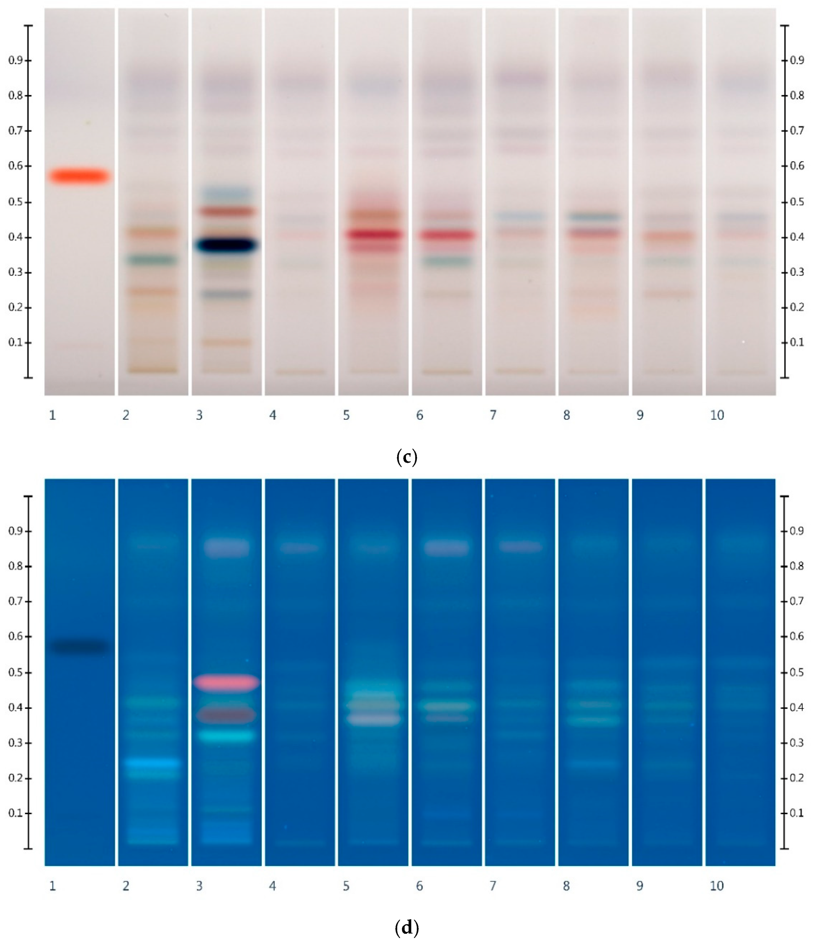 Foods 10 00357 g002b Foods 10 00357 g002b