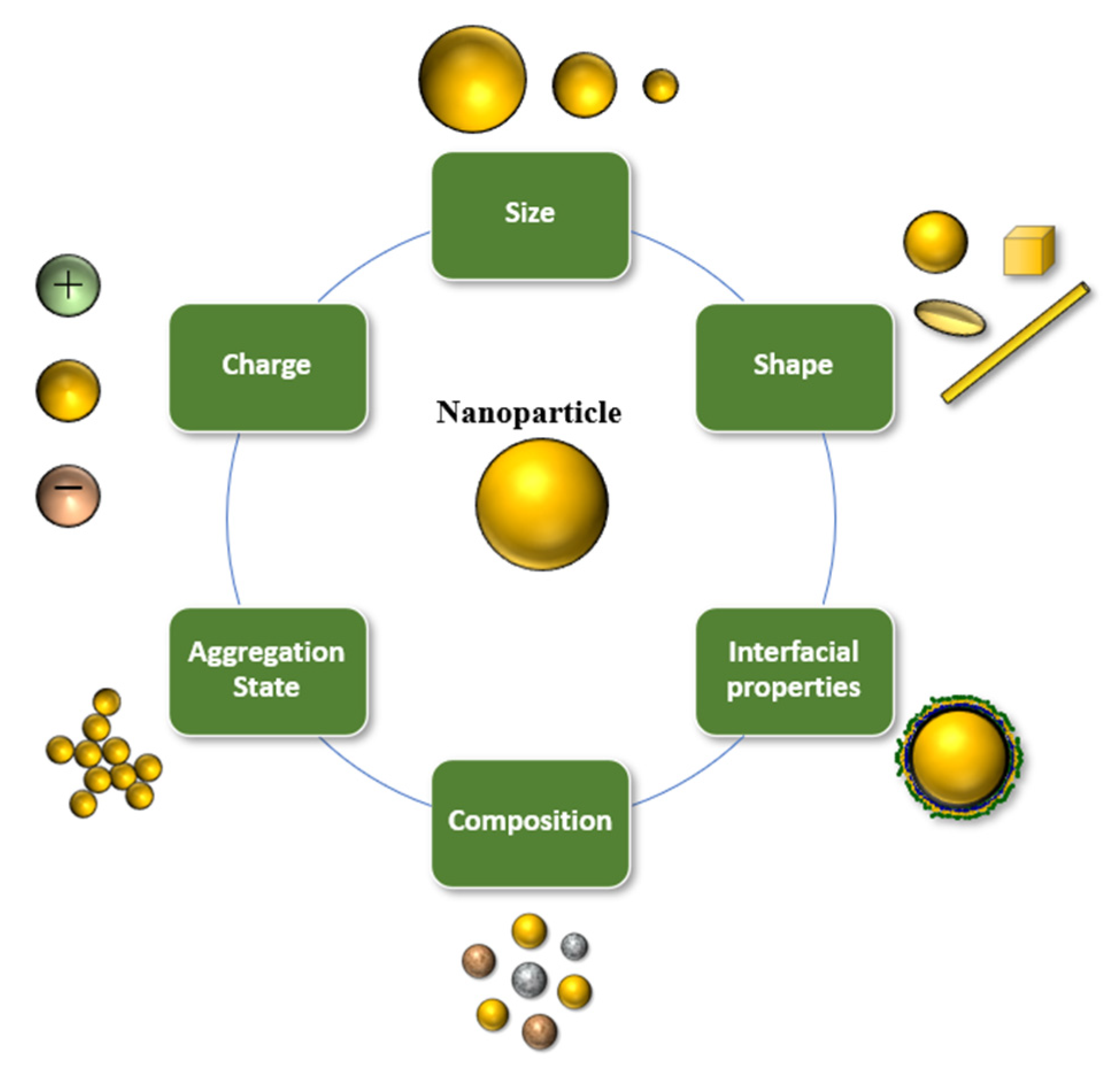 Foods 10 00365 g003 Foods 10 00365 g003