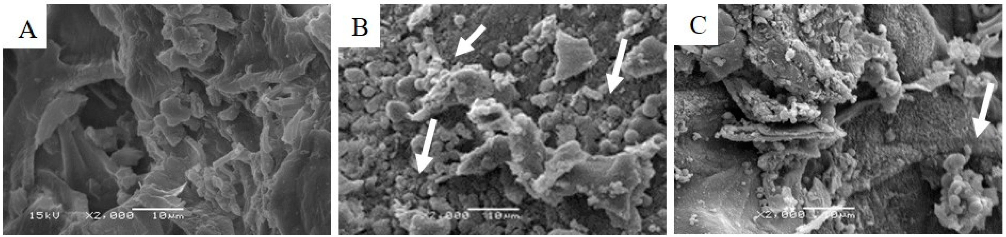 Foods 10 00371 g001 Foods 10 00371 g001