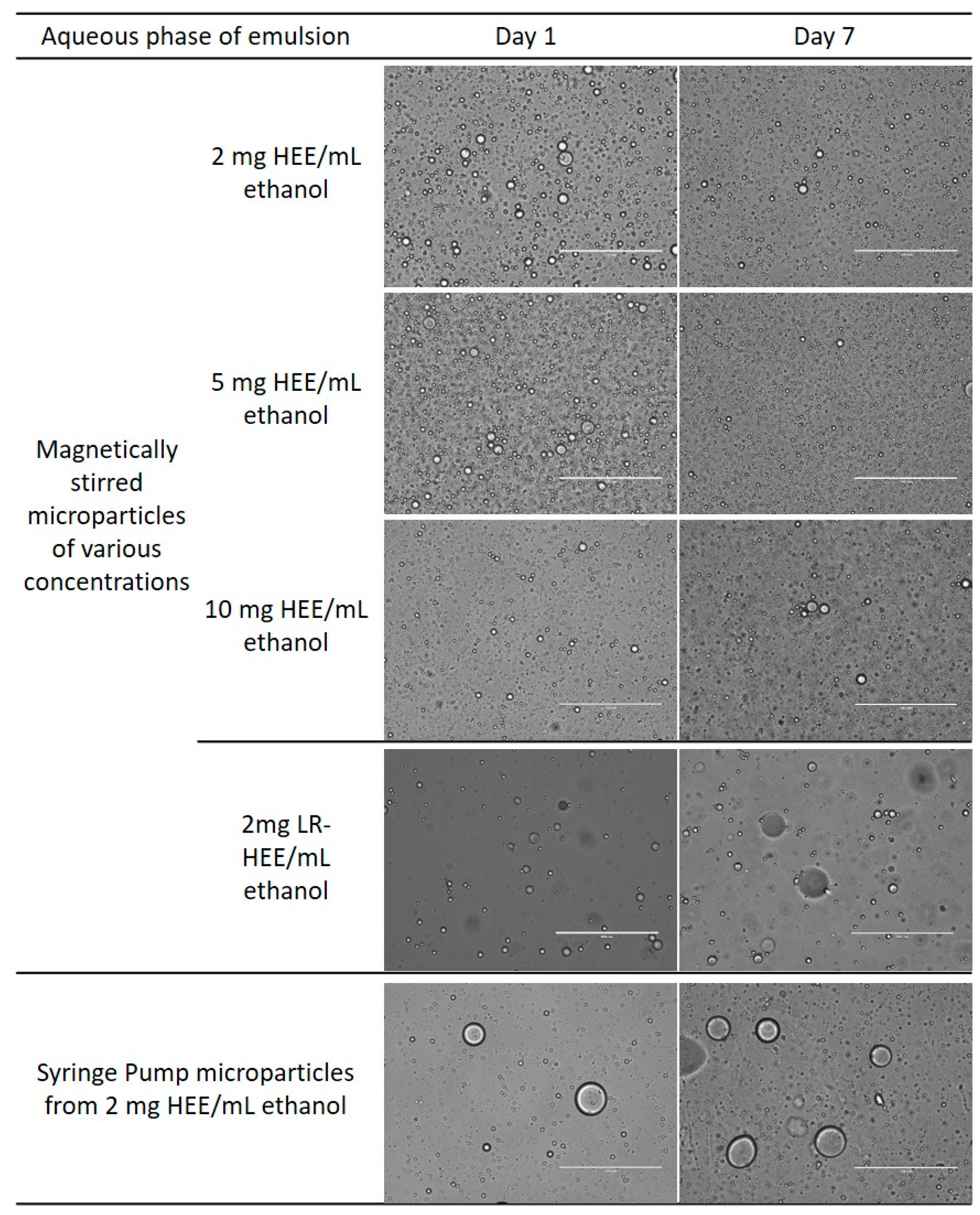 Foods 10 00371 g005 Foods 10 00371 g005