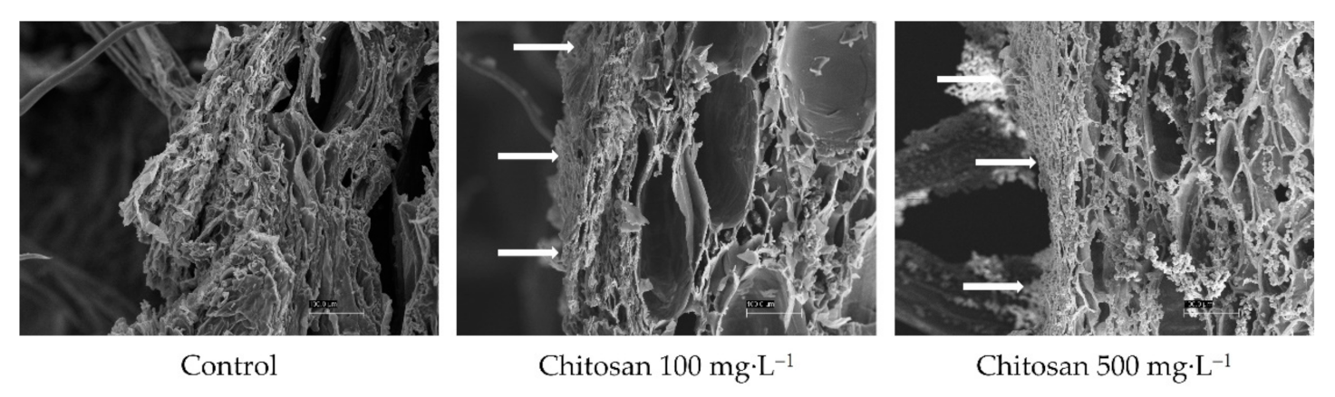 Foods 10 00373 g007 Foods 10 00373 g007