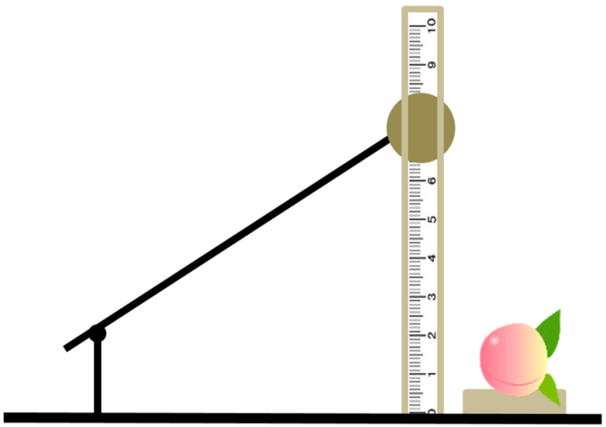 Foods 10 00388 g001 550