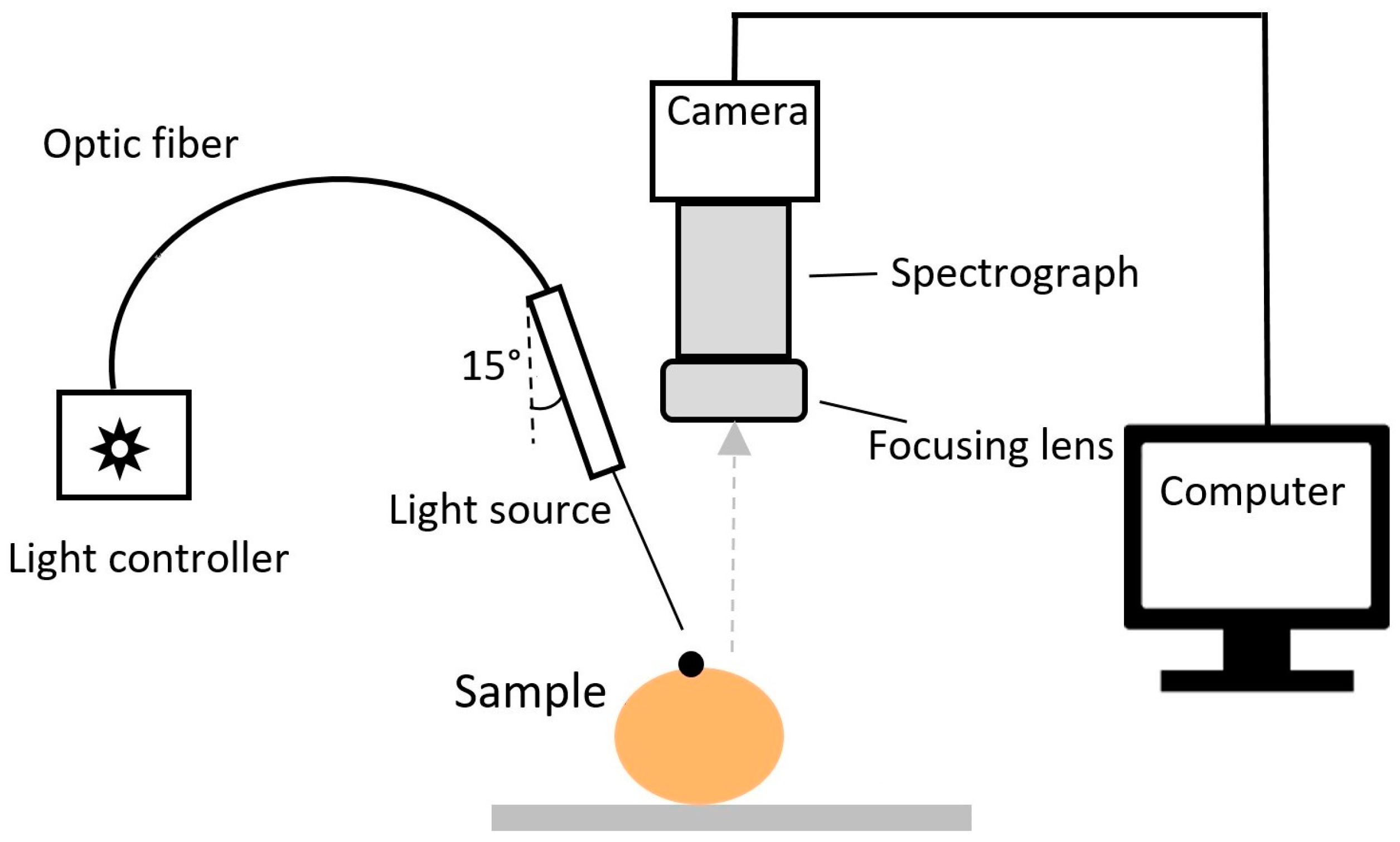 Foods 10 00388 g002 550