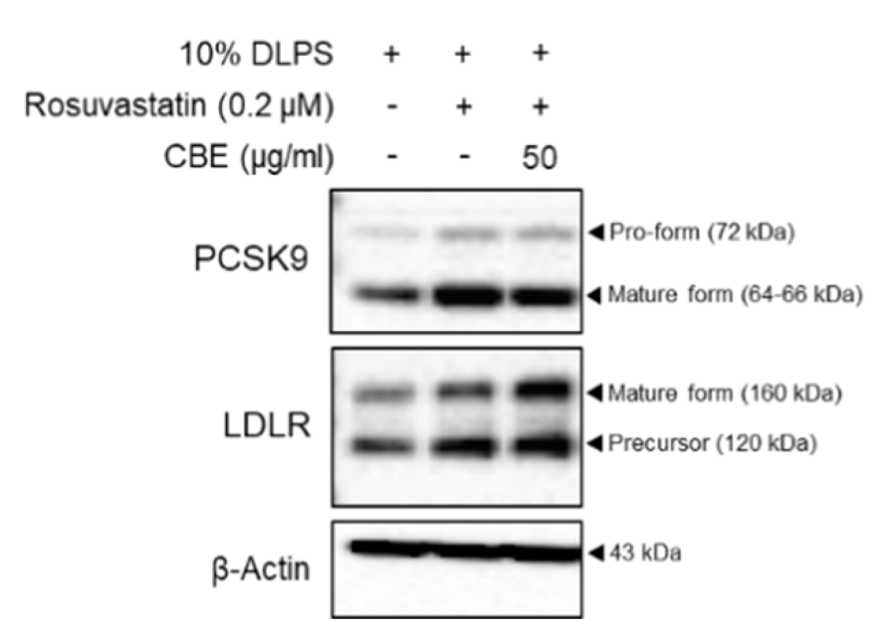 Foods 10 00408 g002 Foods 10 00408 g002