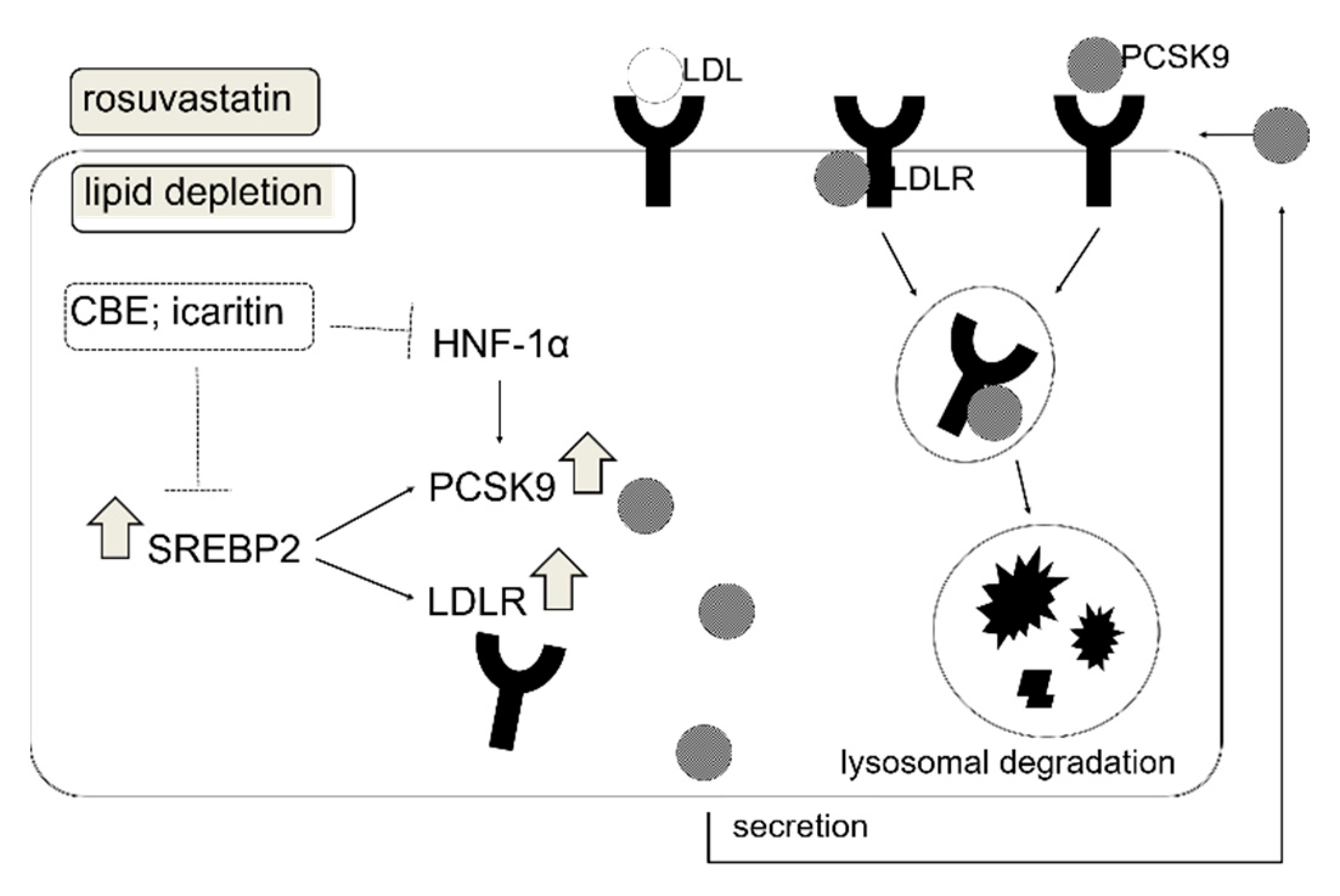 Foods 10 00408 g006 Foods 10 00408 g006