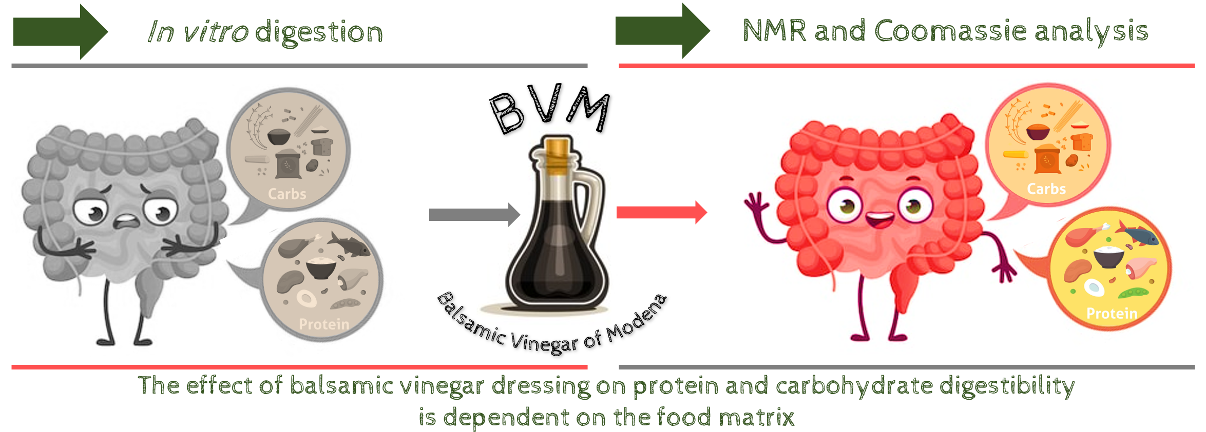 Foods | Free Full-Text | The Effect of Balsamic Vinegar Dressing on Protein and Carbohydrate Digestibility is Dependent on the Food Matrix HTML