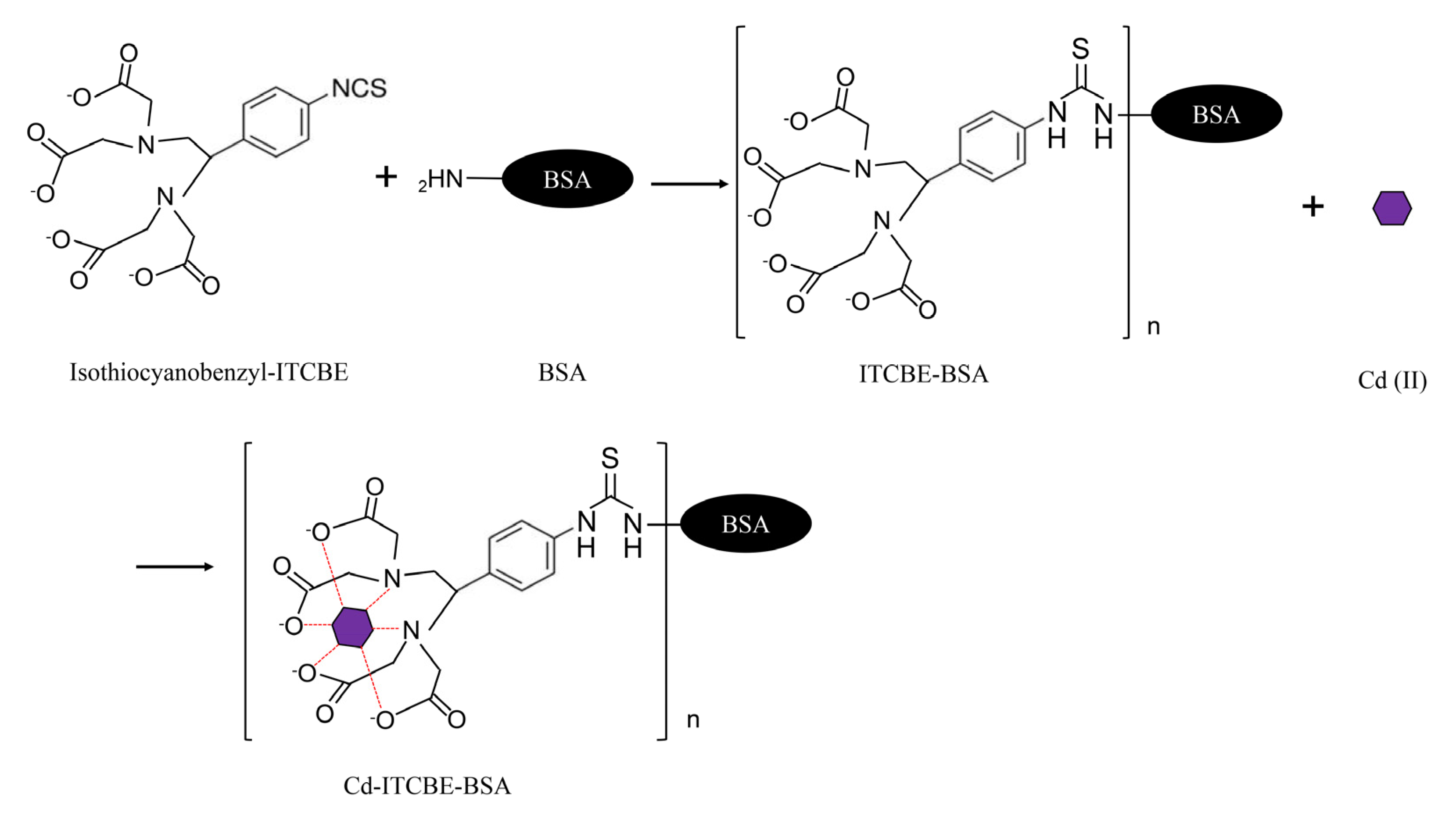 Foods 10 00413 g001 Foods 10 00413 g001