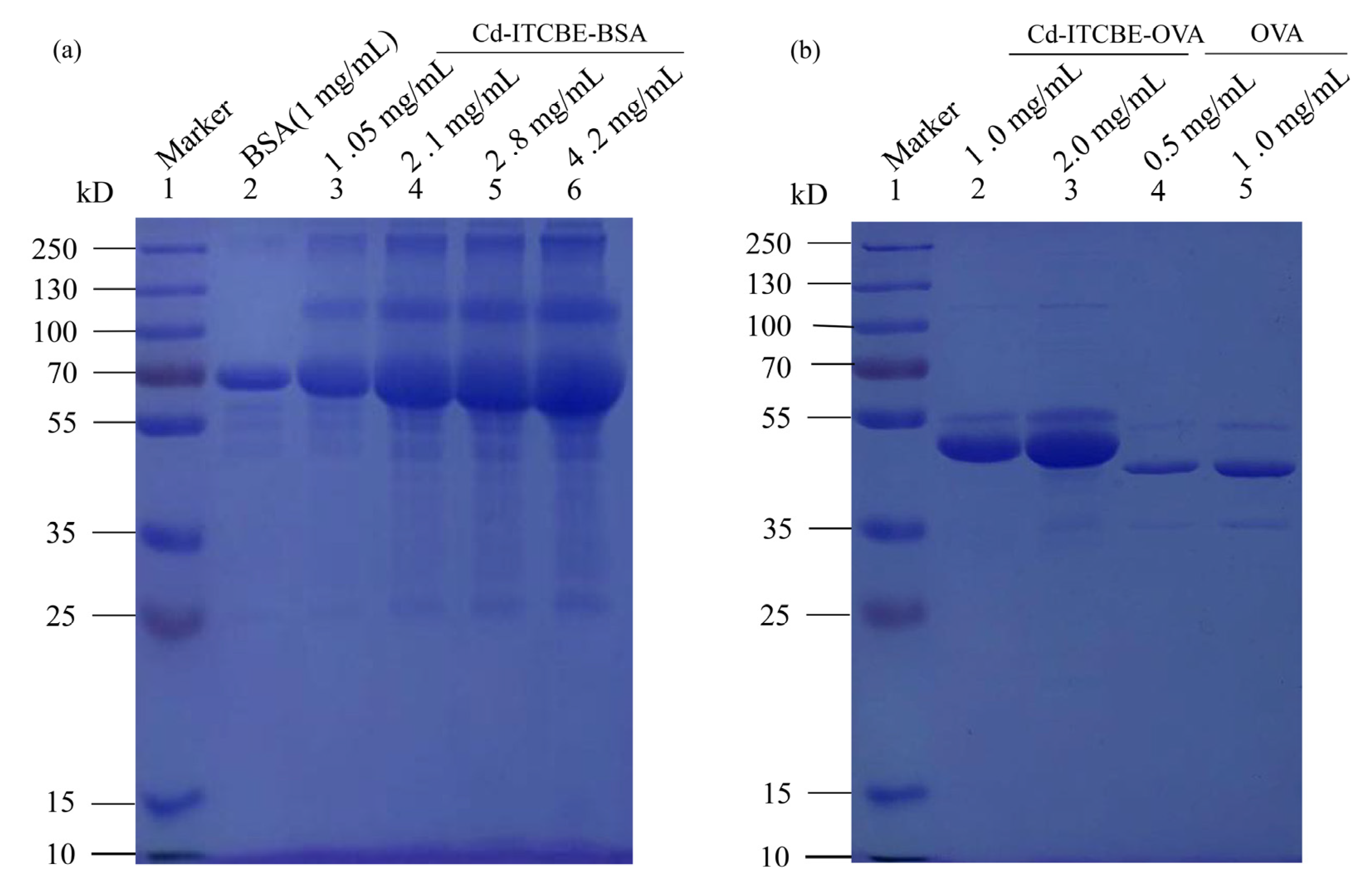 Foods 10 00413 g003 Foods 10 00413 g003