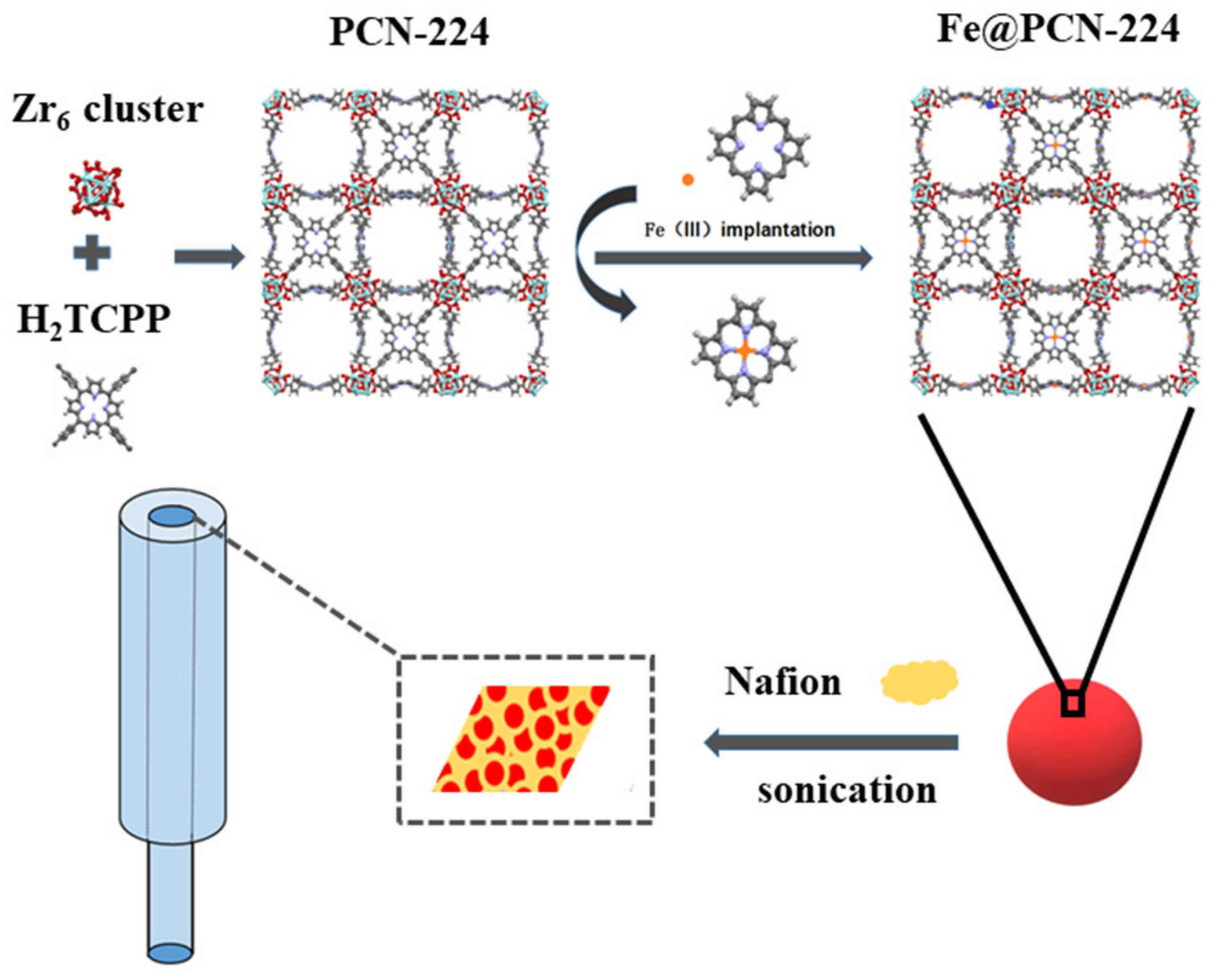 Foods 10 00419 g001 Foods 10 00419 g001