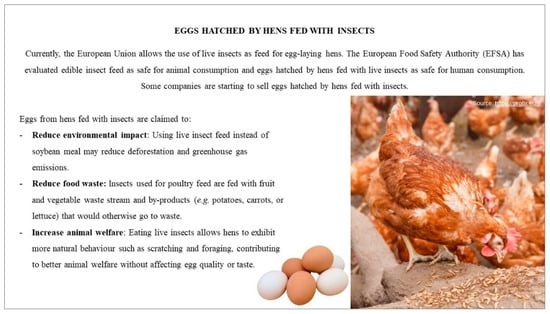 Foods | Free Full-Text | Consumers' Perspectives on Eggs from Insect-Fed  Hens: A UK Focus Group Study
