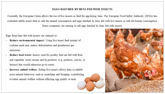 Foods | Free Full-Text | Consumers' Perspectives on Eggs from Insect-Fed Hens: A UK Focus Group Study Foods | Free Full-Text | Consumers' Perspectives on Eggs from Insect-Fed Hens: A UK Focus Group Study
