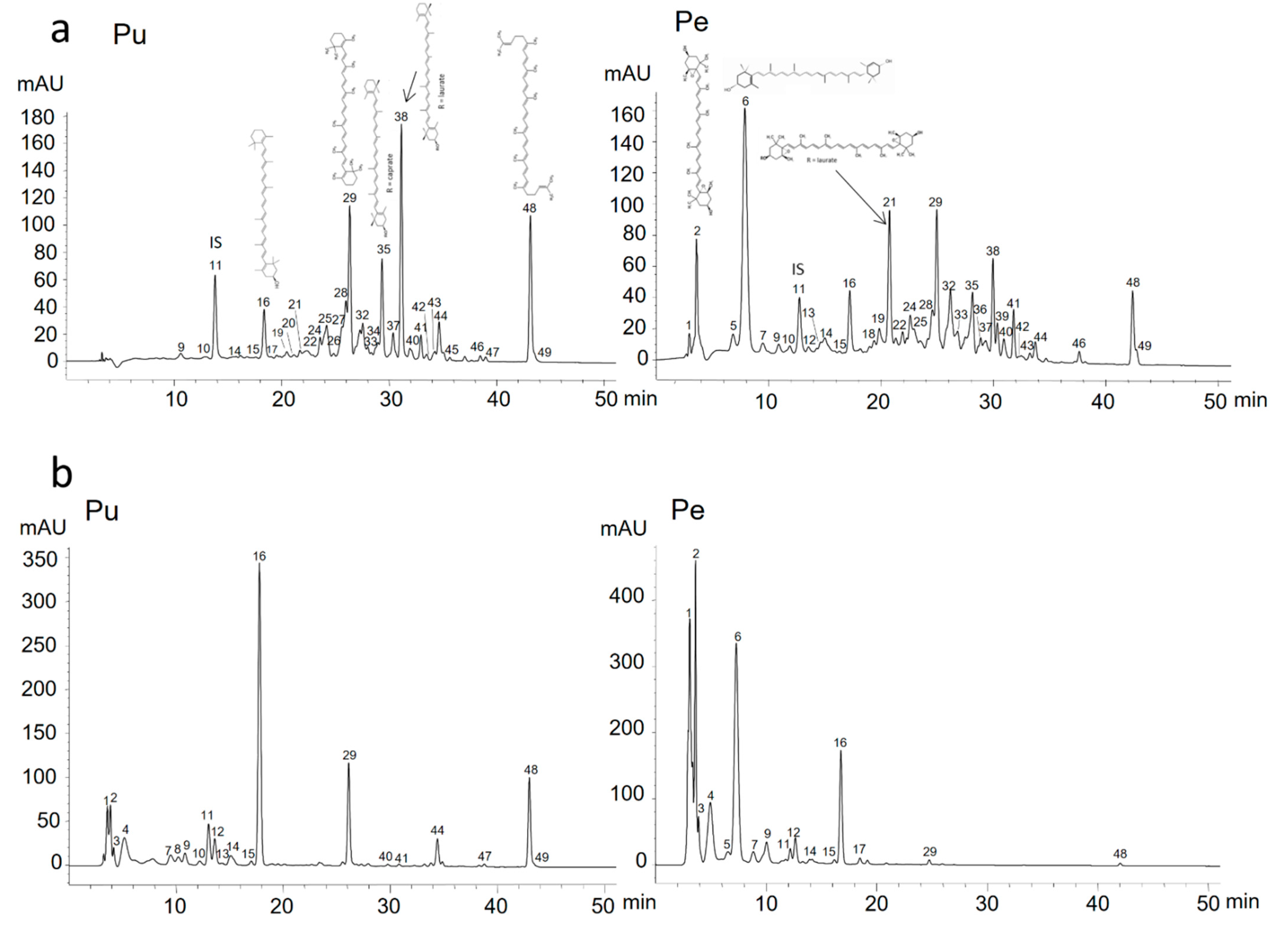 Foods 10 00434 g001 Foods 10 00434 g001