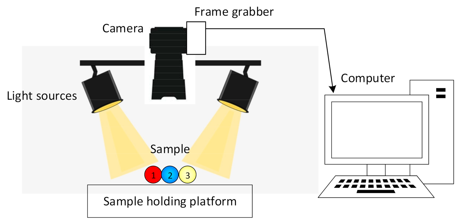 Foods 10 00448 g002 Foods 10 00448 g002