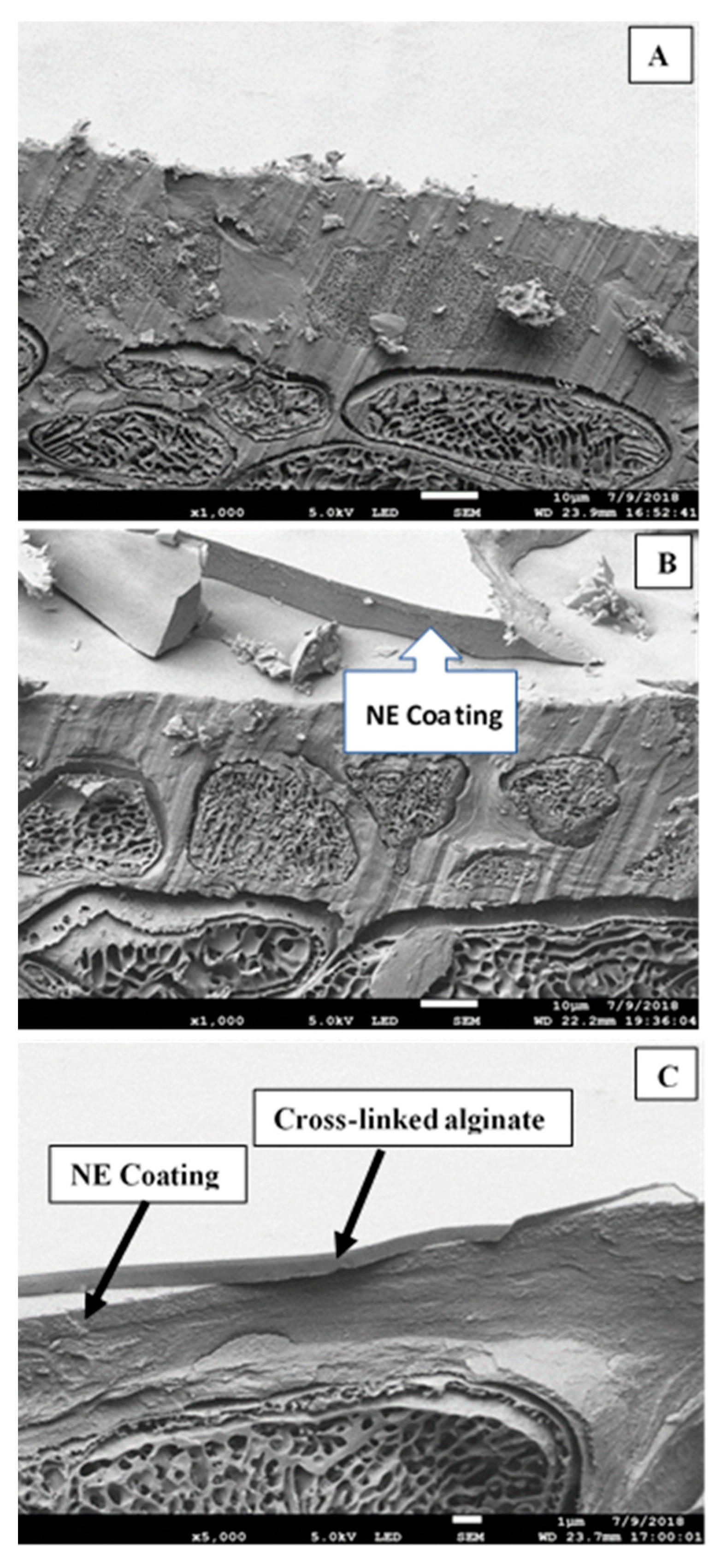 Foods 10 00449 g001 Foods 10 00449 g001