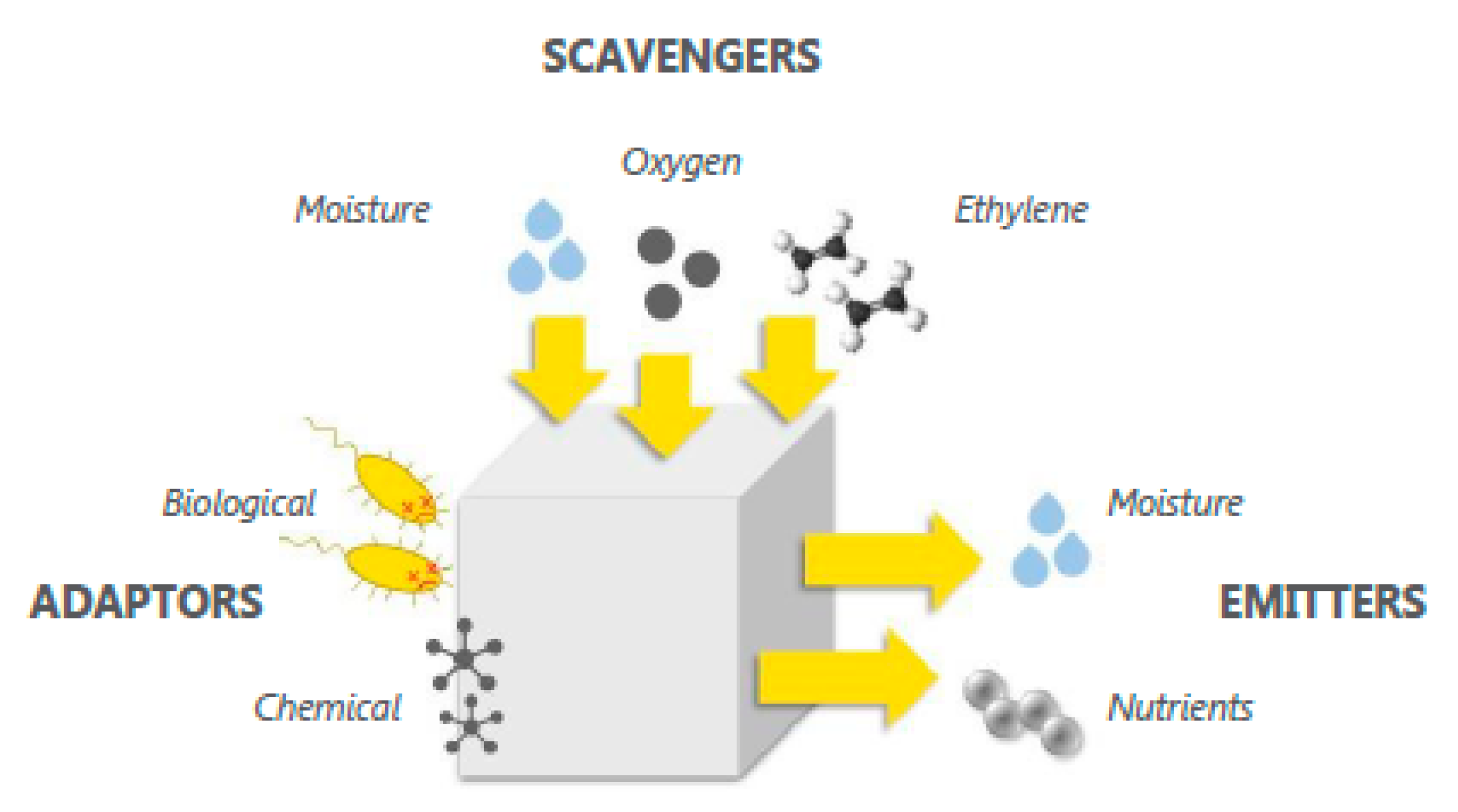 Foods 10 00465 g003 Foods 10 00465 g003