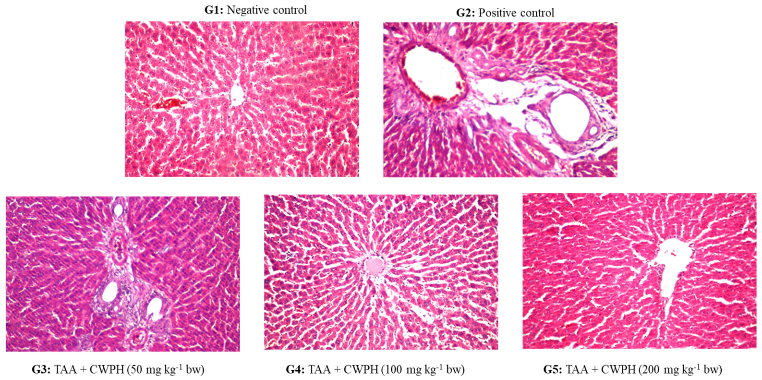 Foods 10 00468 g002 Foods 10 00468 g002