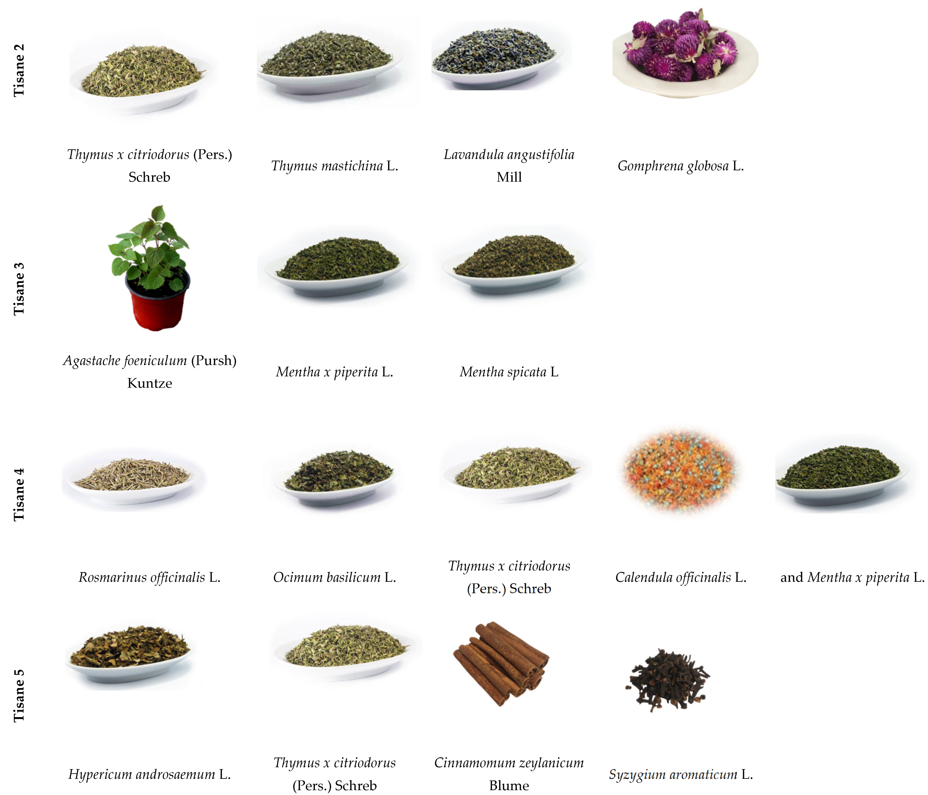 Foods 10 00475 g001b