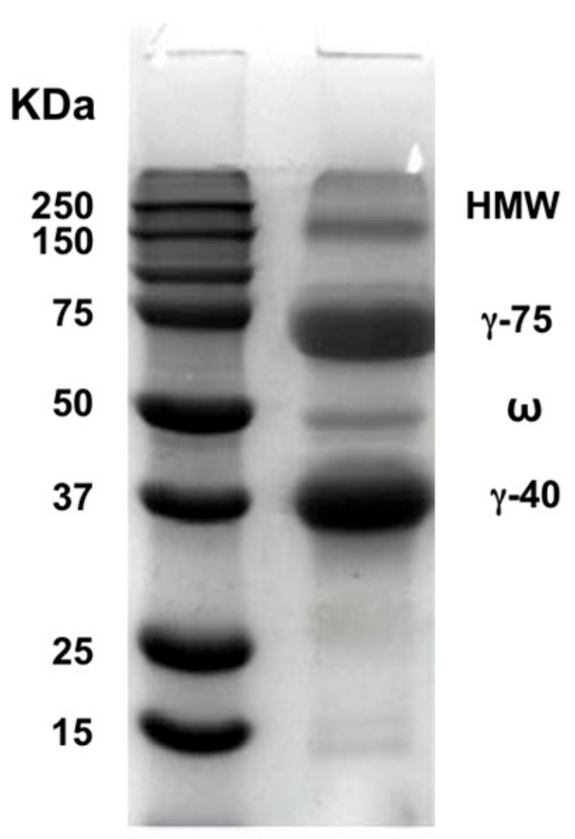 Foods 10 00515 g001 Foods 10 00515 g001