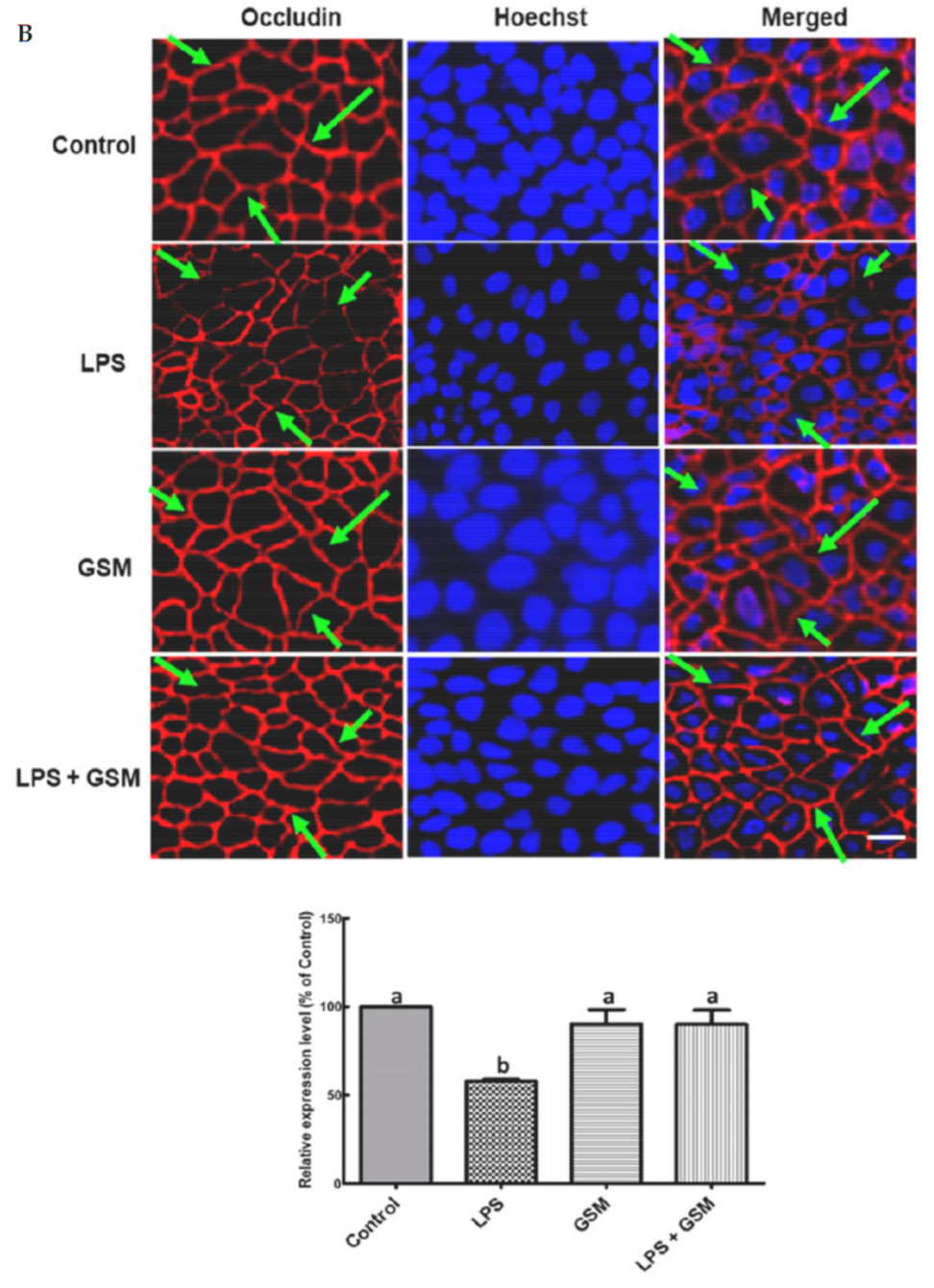 Foods 10 00530 g003b Foods 10 00530 g003b