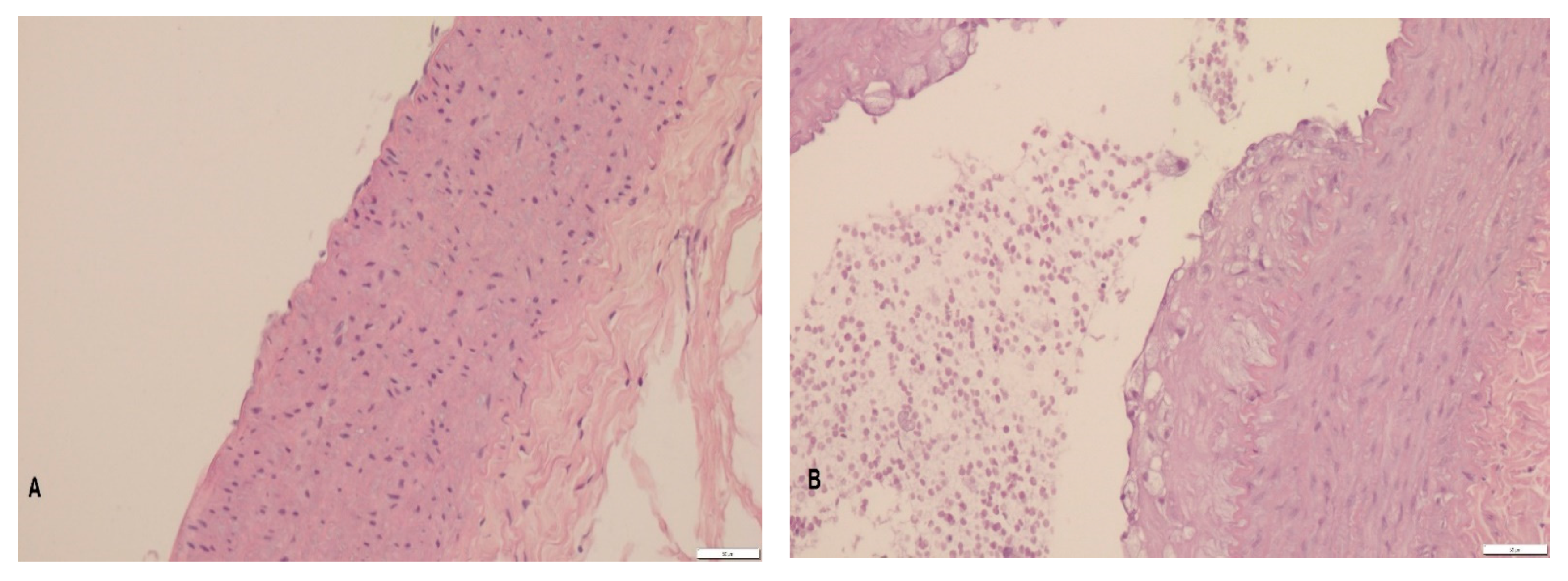 Foods 10 00534 g001a