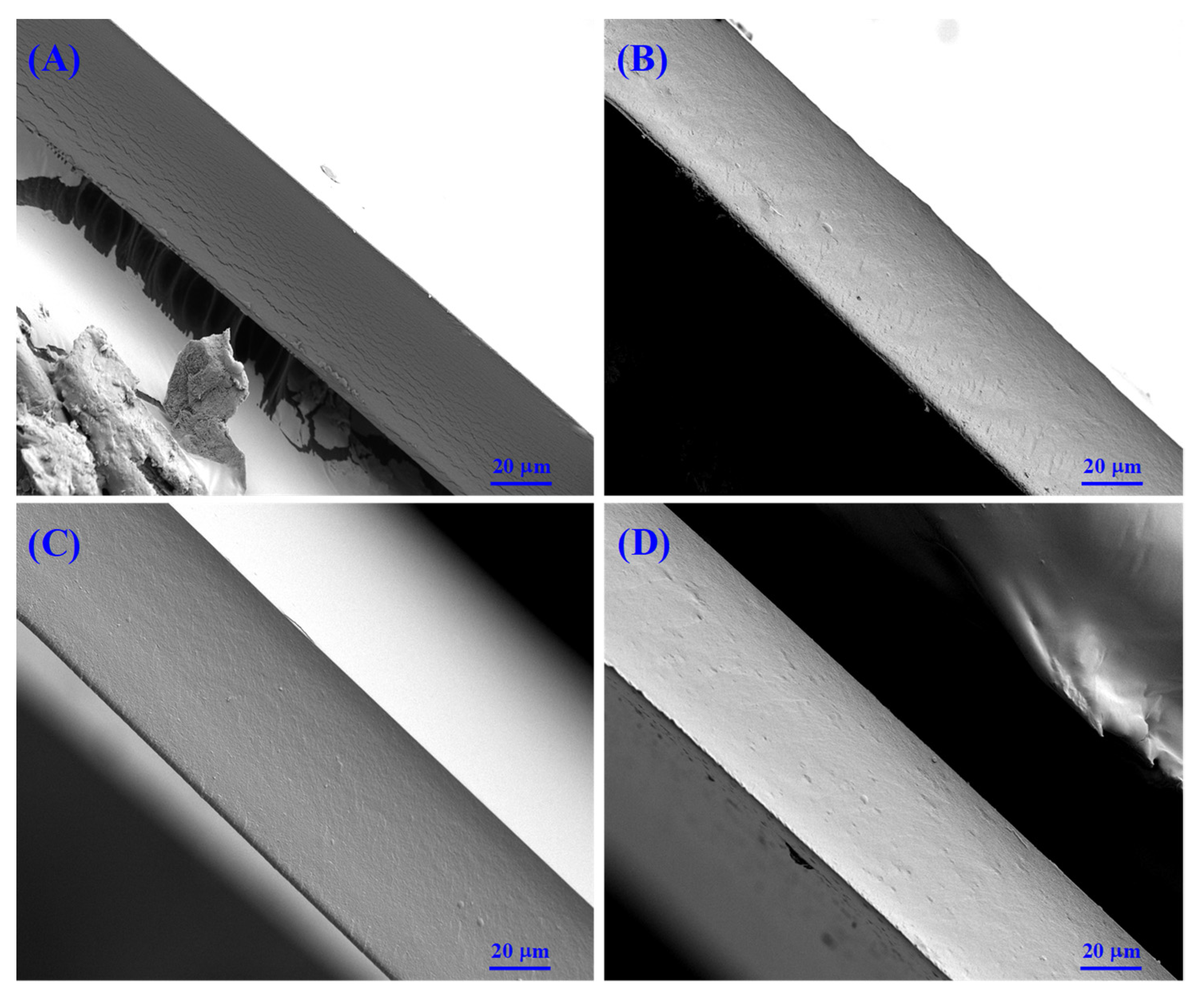 Foods 10 00536 g005 Foods 10 00536 g005