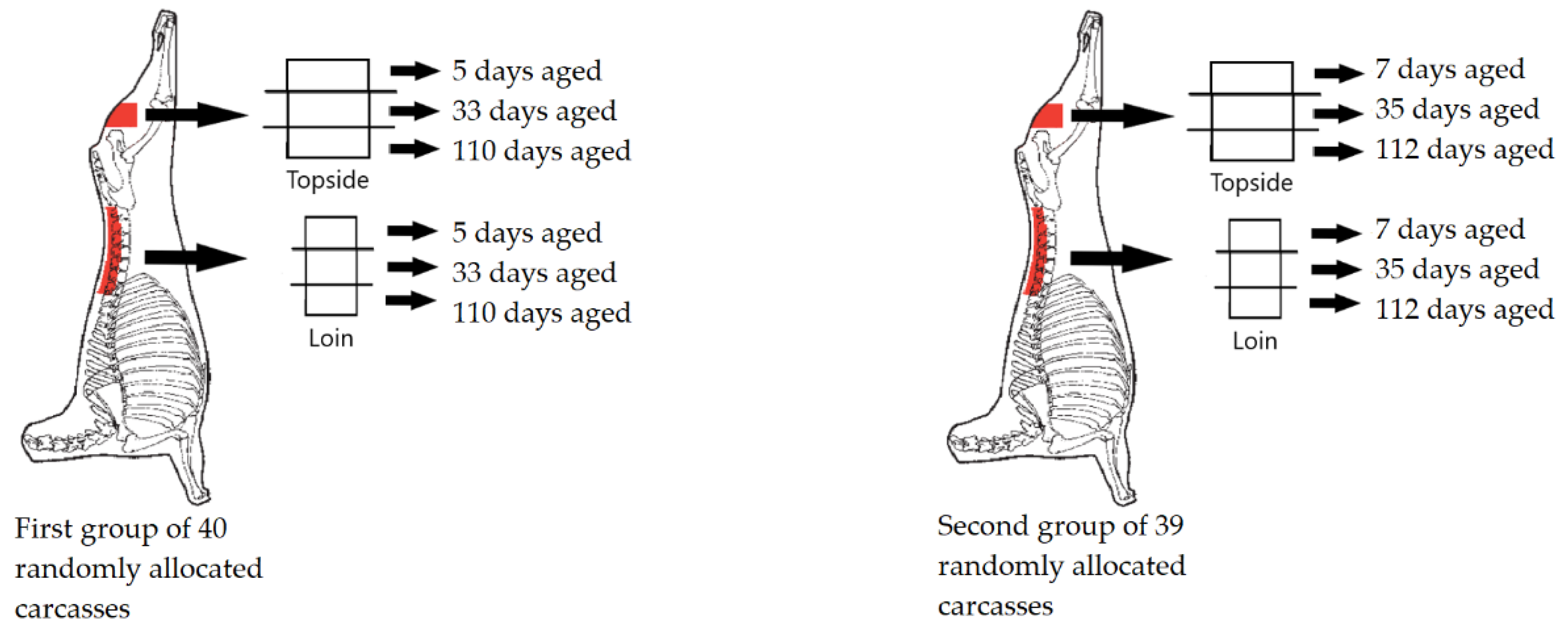 Foods 10 00540 g001 Foods 10 00540 g001