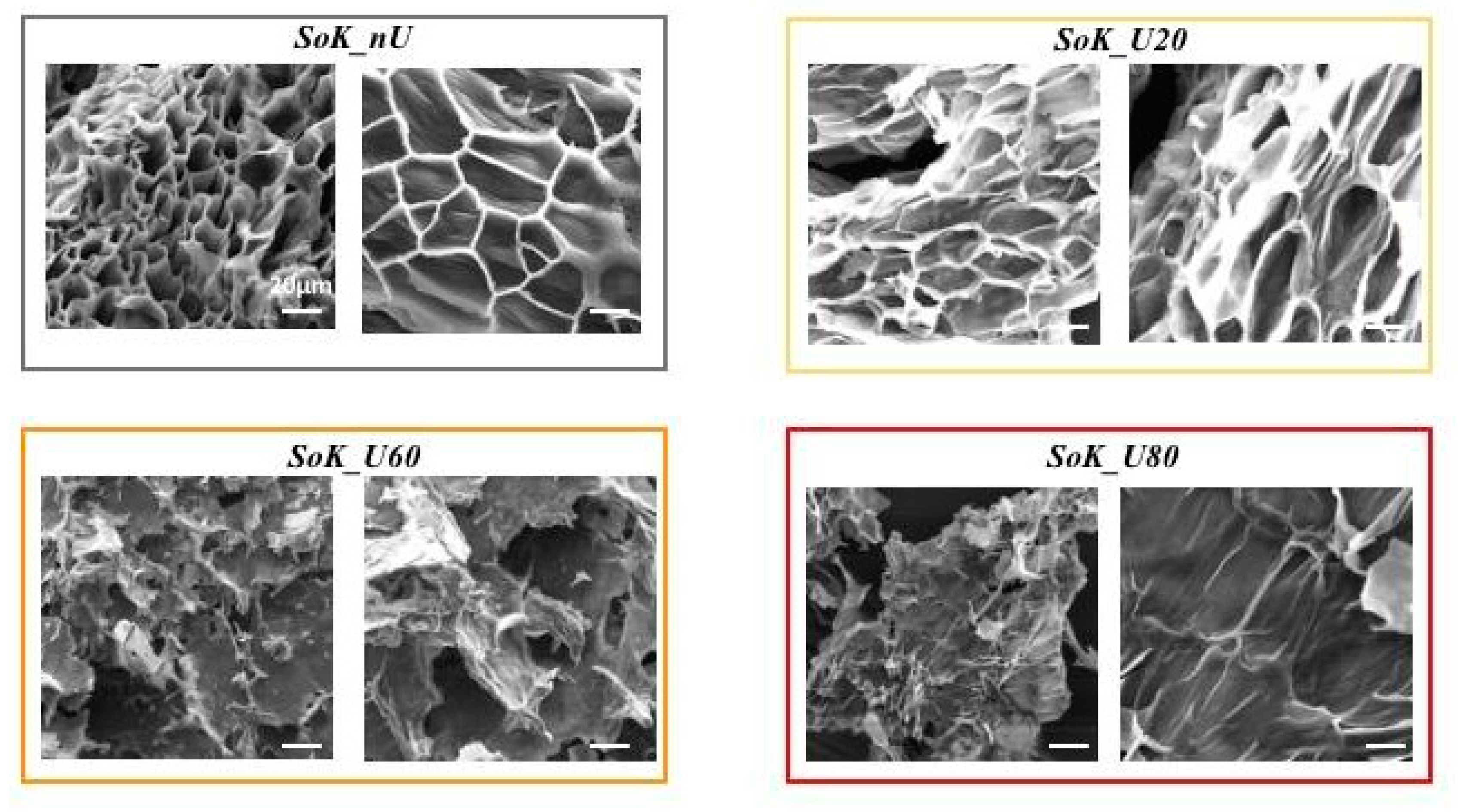 Foods 10 00562 g001 Foods 10 00562 g001