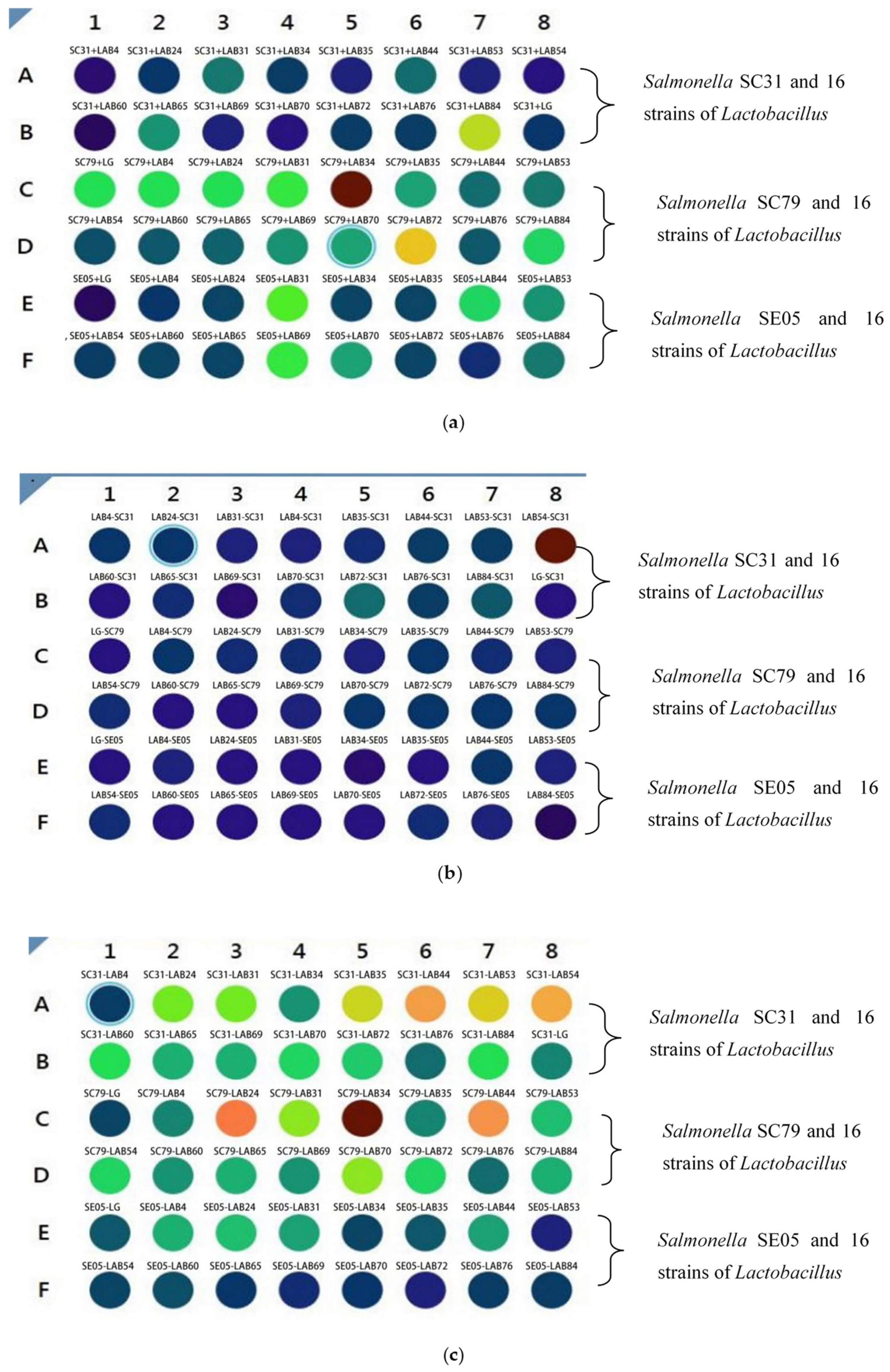 Foods 10 00569 g004 Foods 10 00569 g004