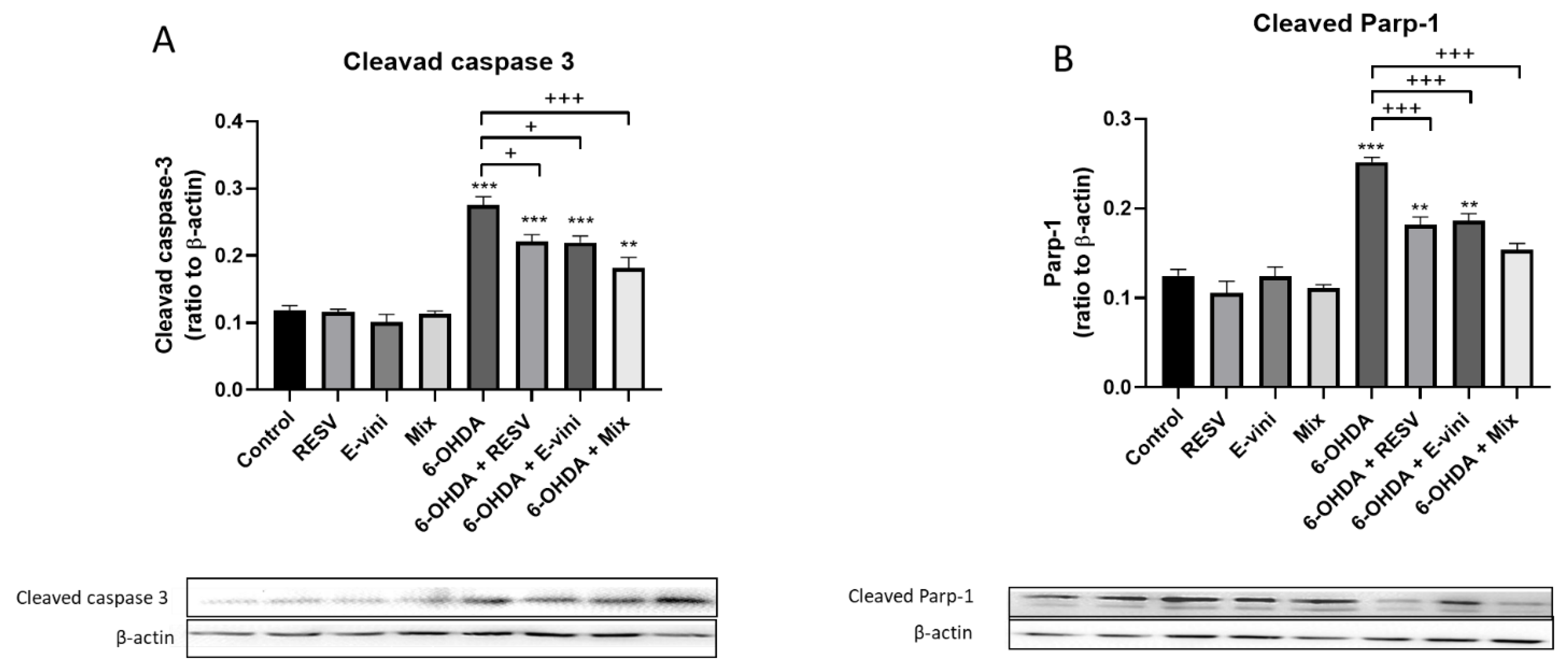 Foods 10 00586 g004 Foods 10 00586 g004
